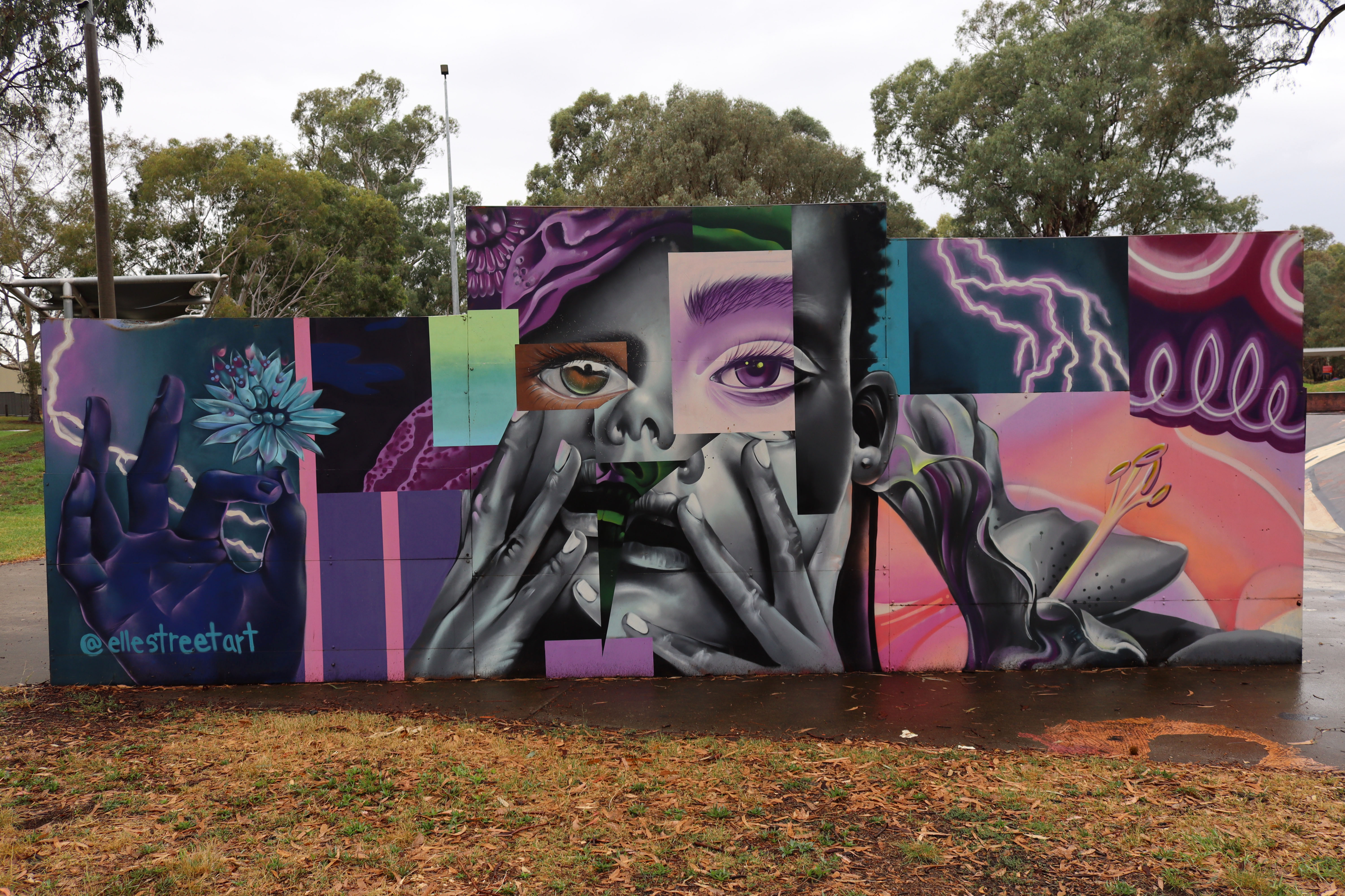Truble by Elle Street Art | Street Art NSW