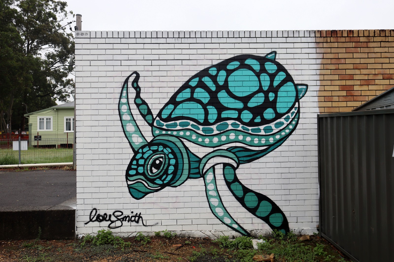 Turtle by Lou Smith | Street Art NSW