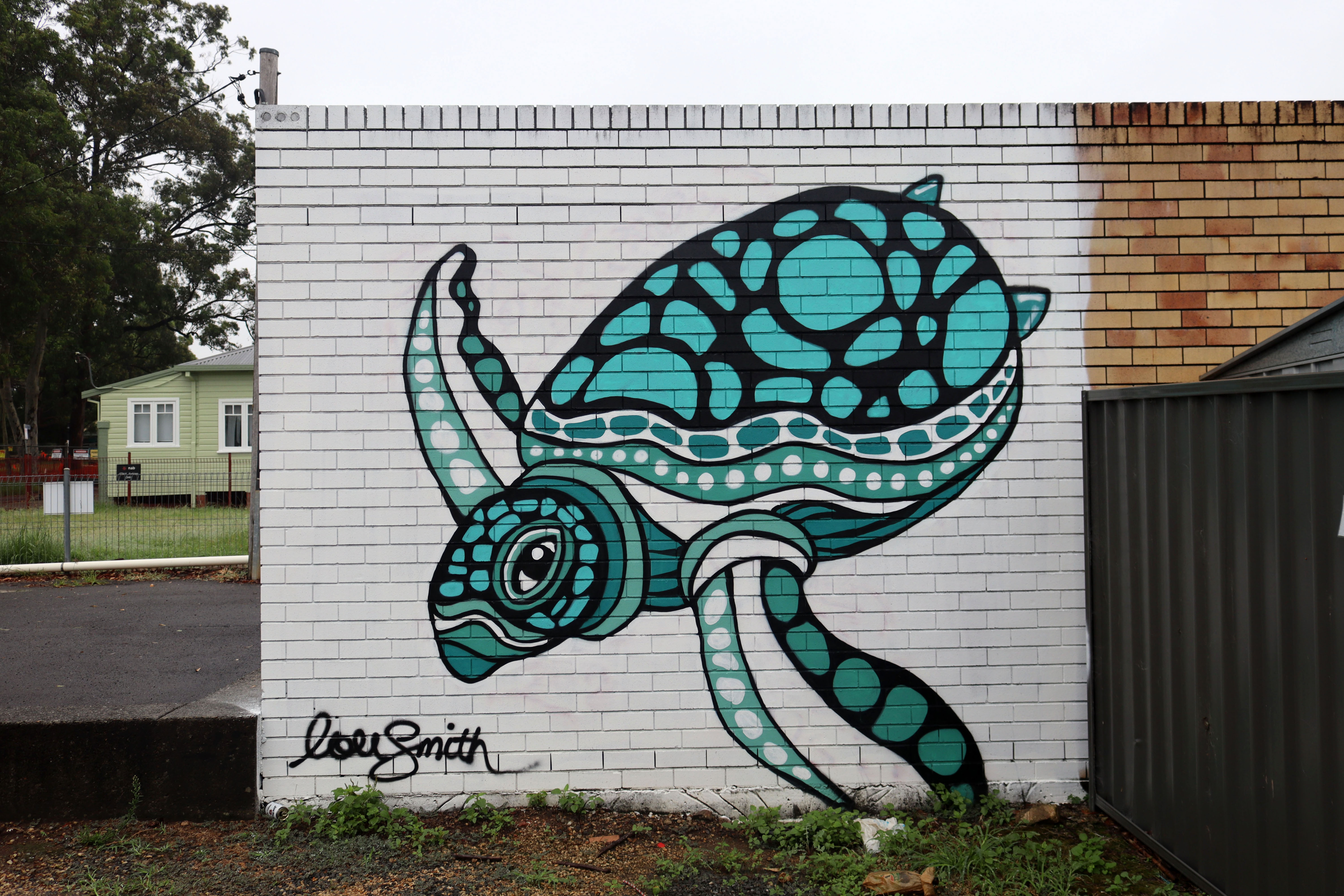 Turtle by Lou Smith | Street Art NSW