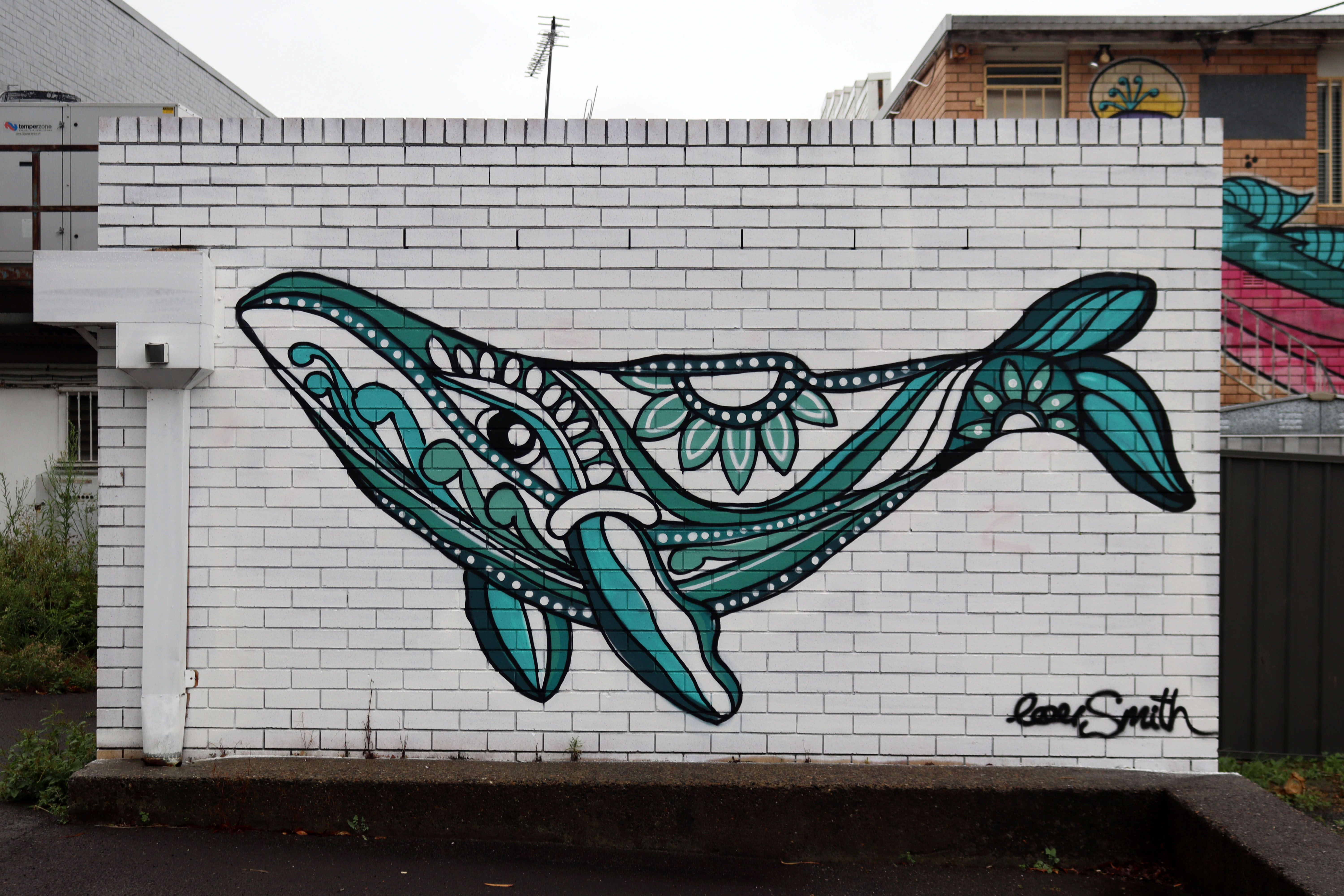 Whale by Lou Smith | Street Art NSW