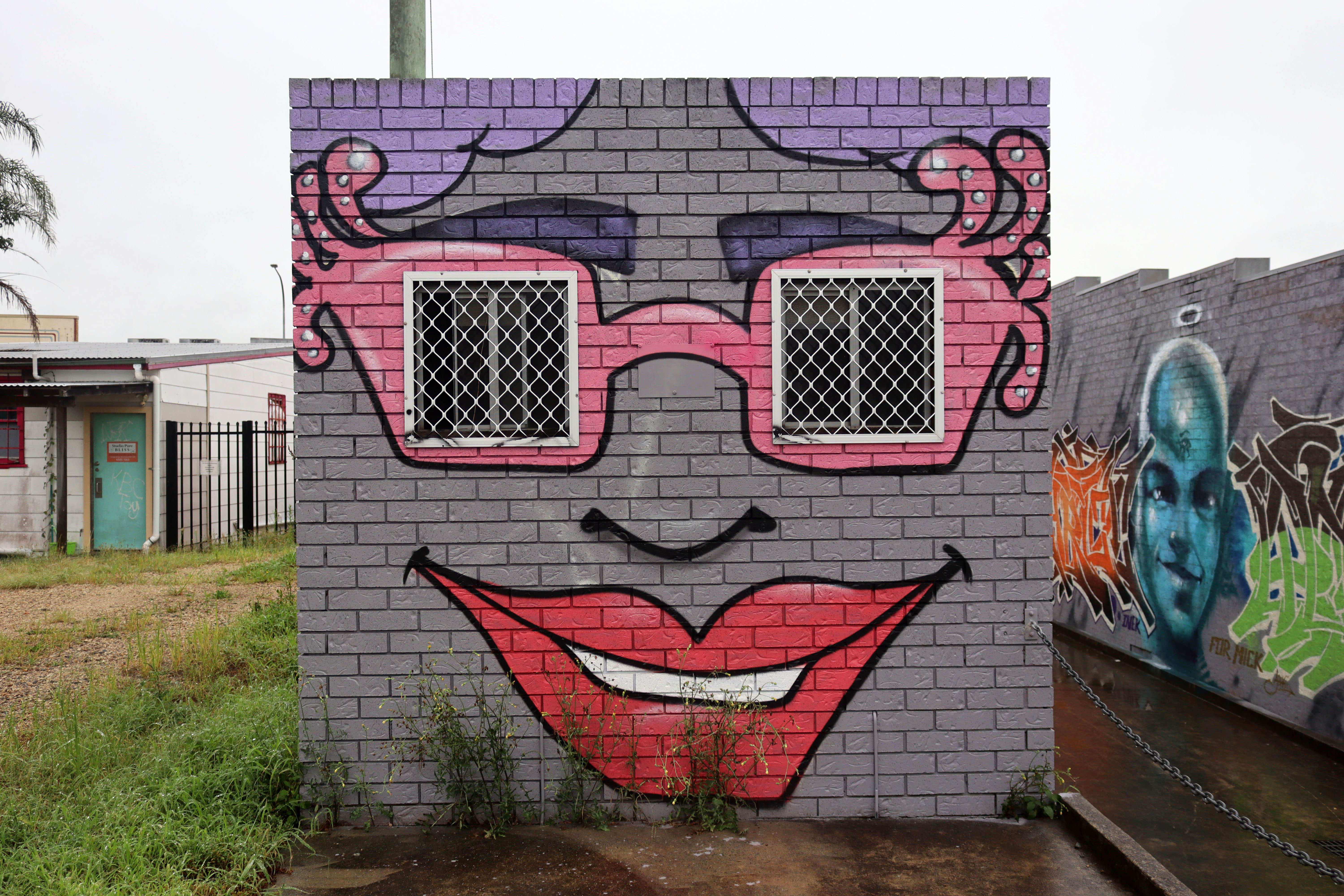 Untitled by Kristie Hancock | Street Art NSW