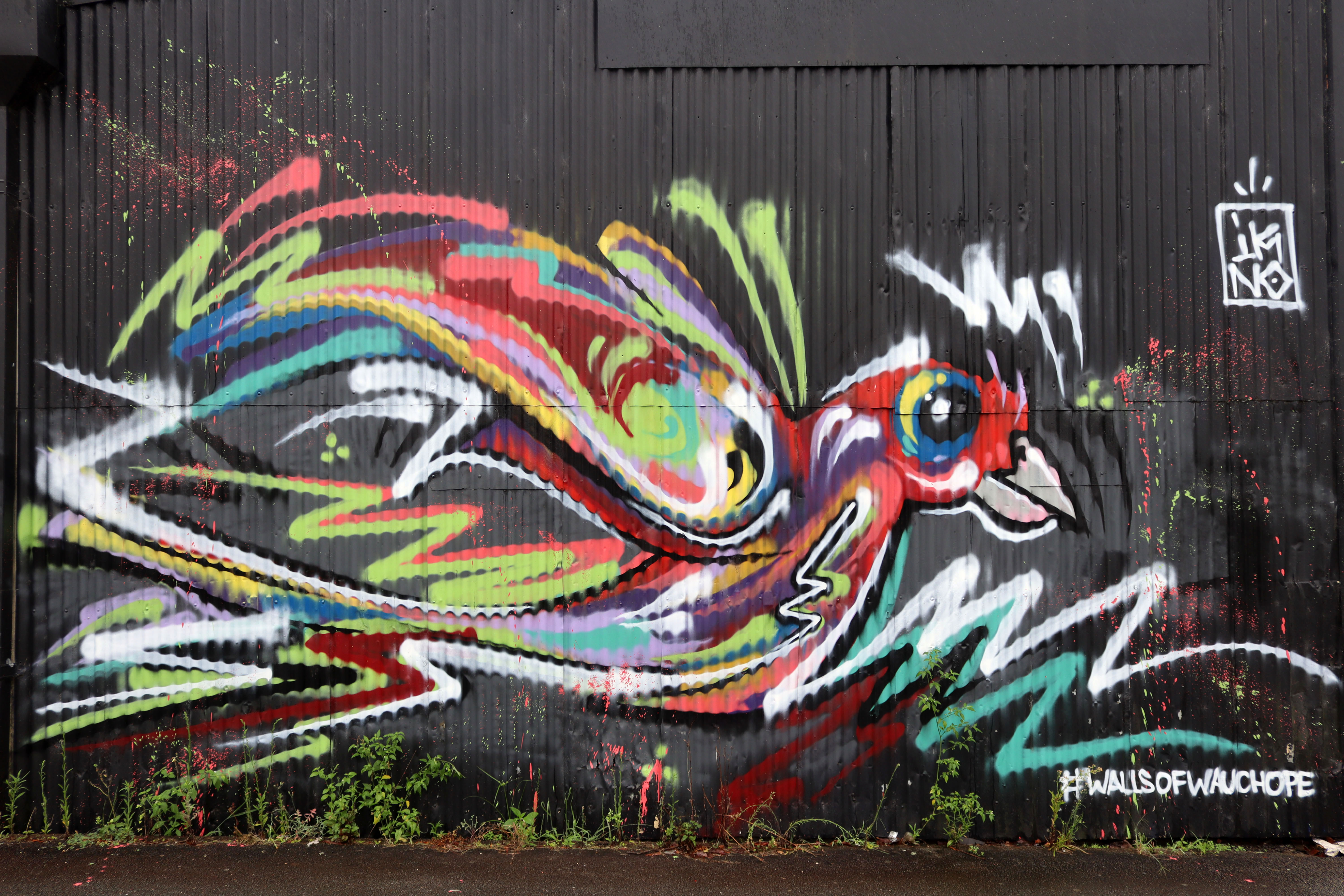 Untitled by Iknograffix | Street Art NSW