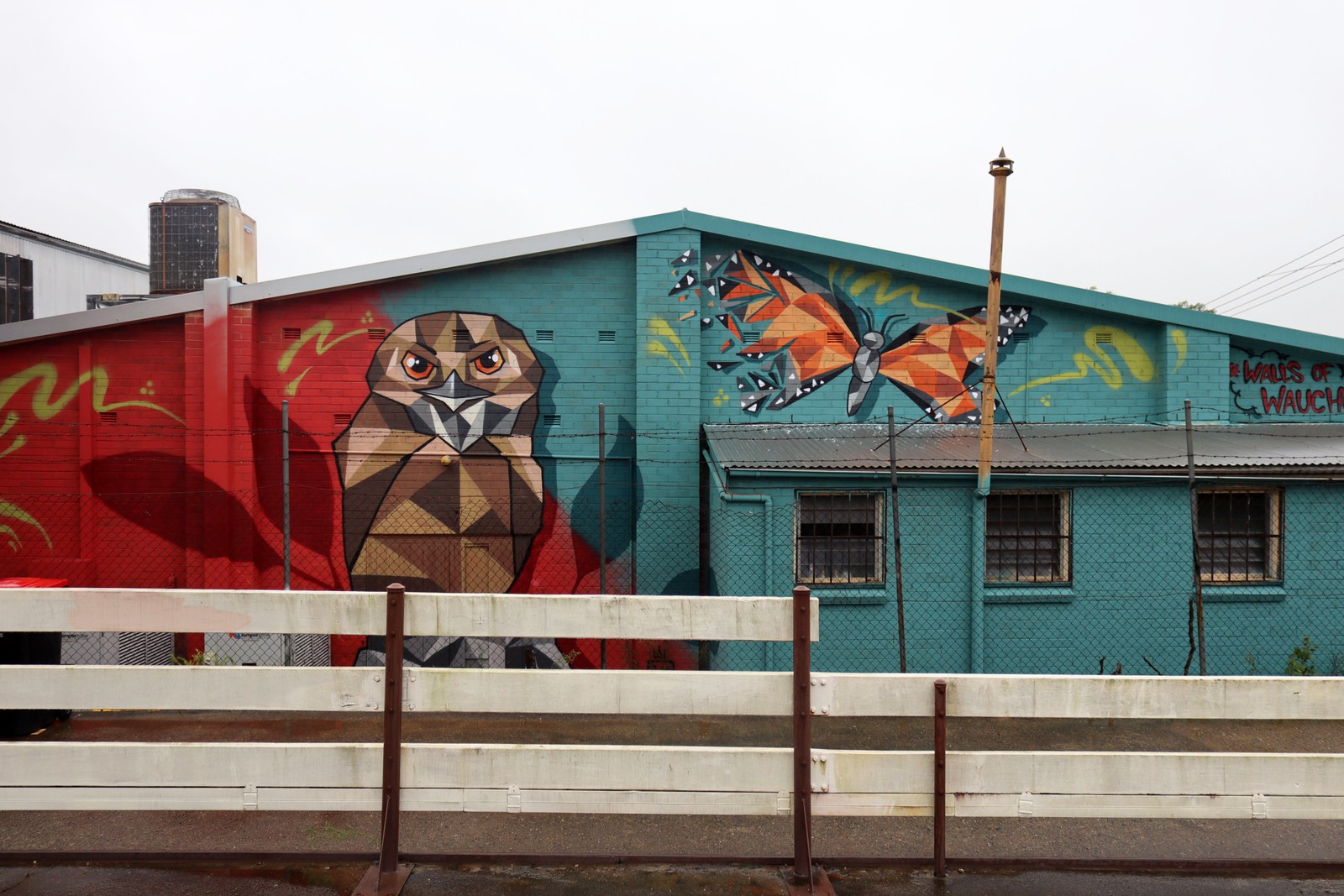 Birds of Wauchope/Walls of Wauchope by Iknograffix | Street Art NSW