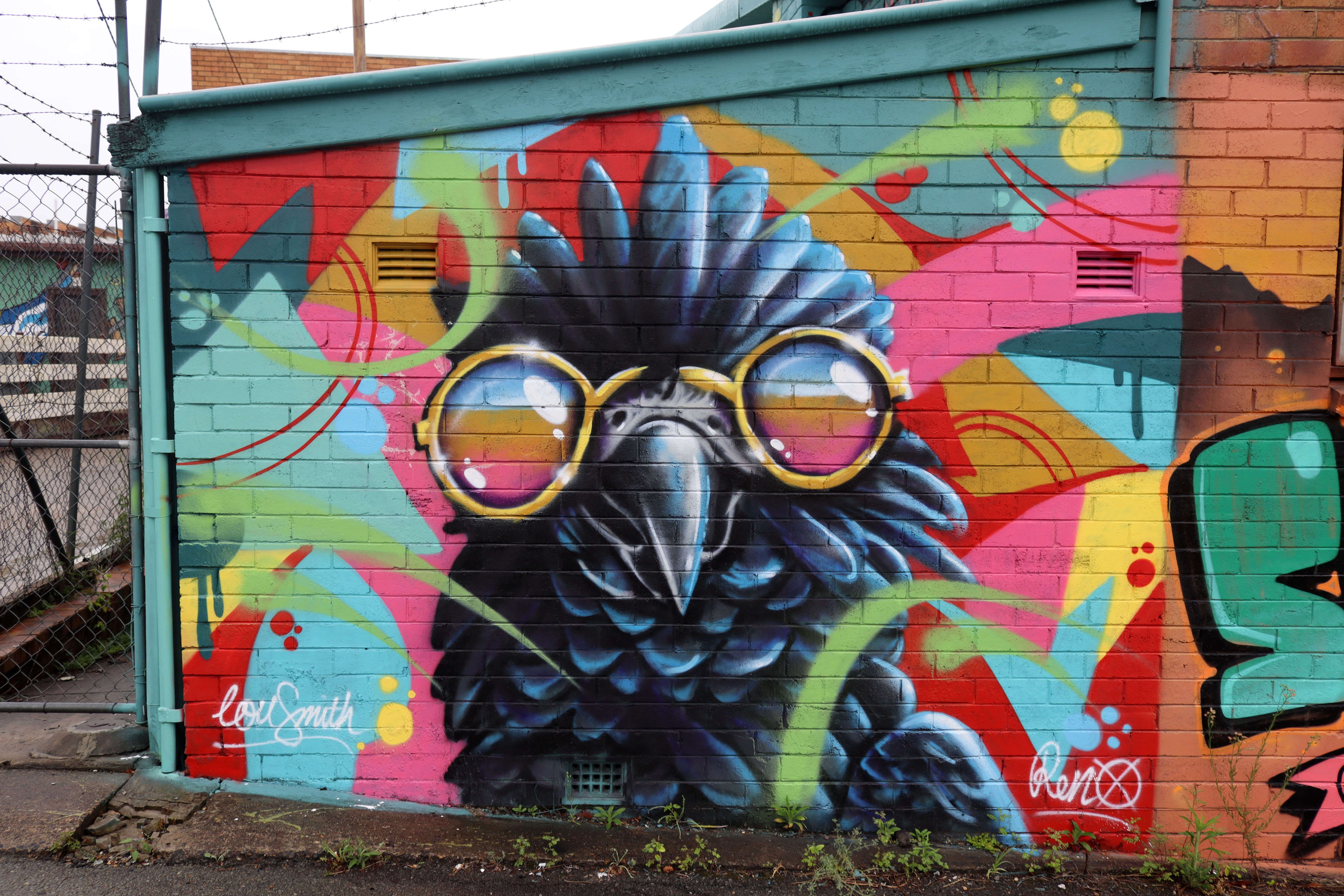 Untitled by Lou Smith | Street Art NSW