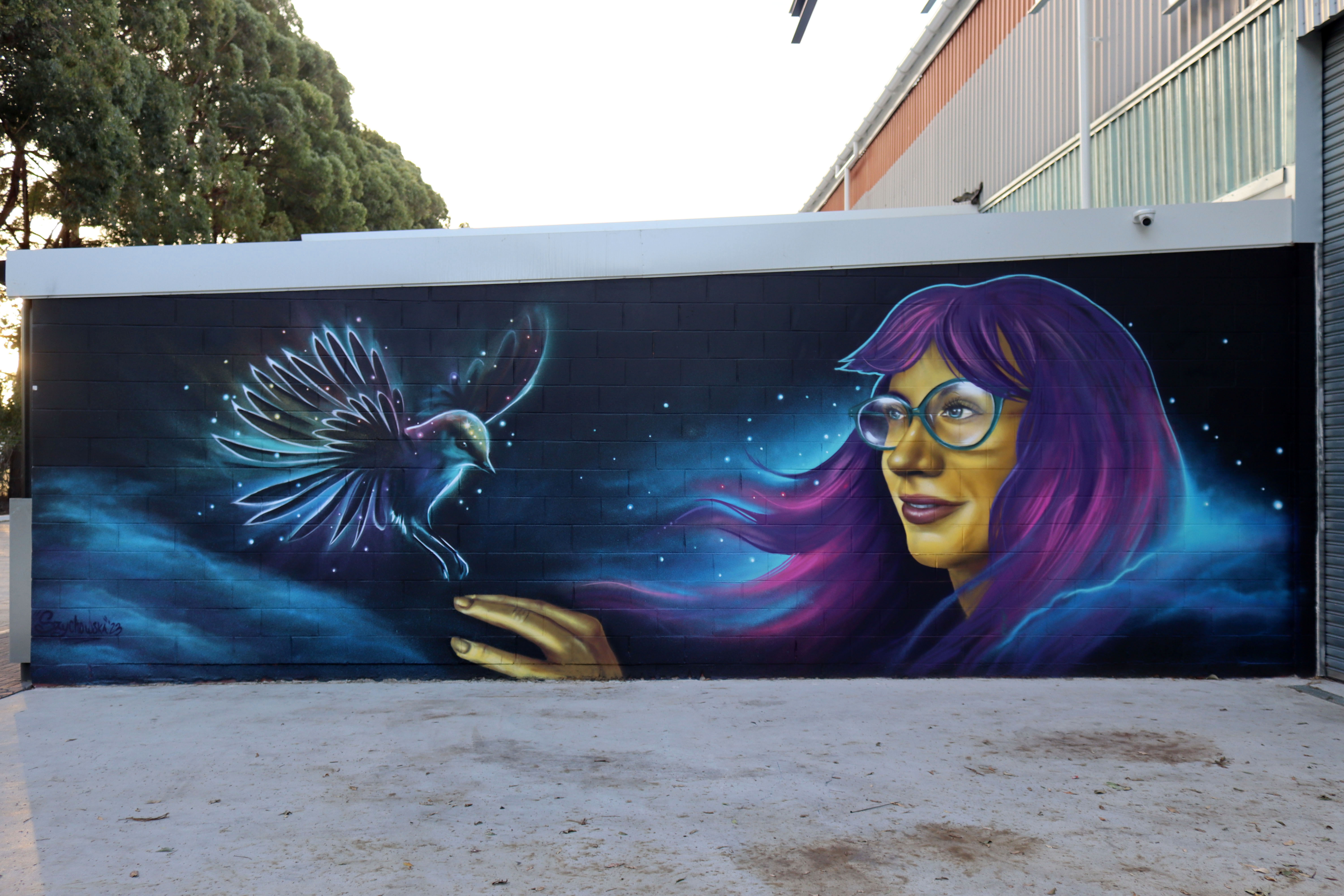 Untitled by Maria-Rosa Szychowska | Street Art NSW