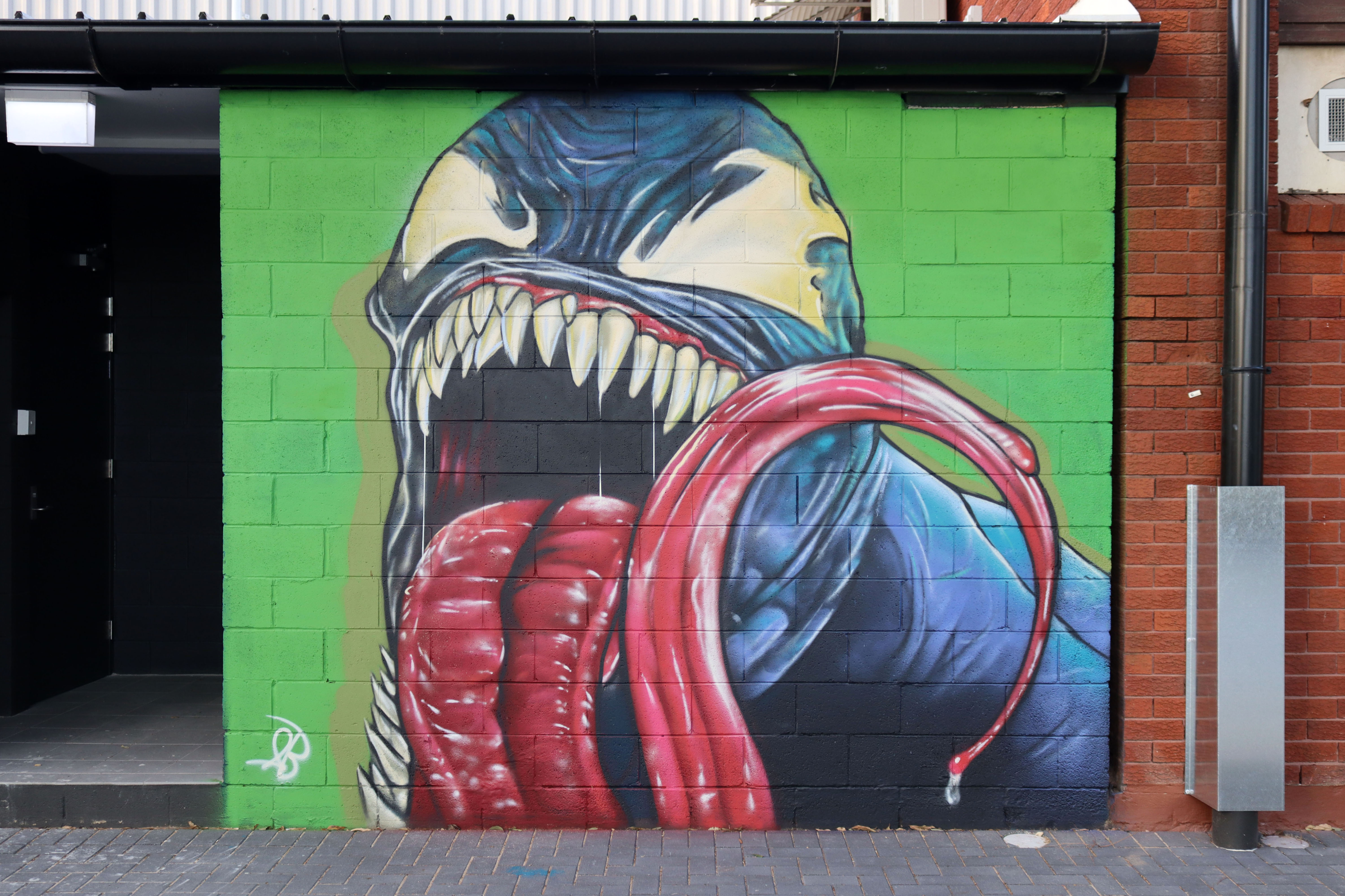 Venom by Shannon Boyd | Street Art NSW