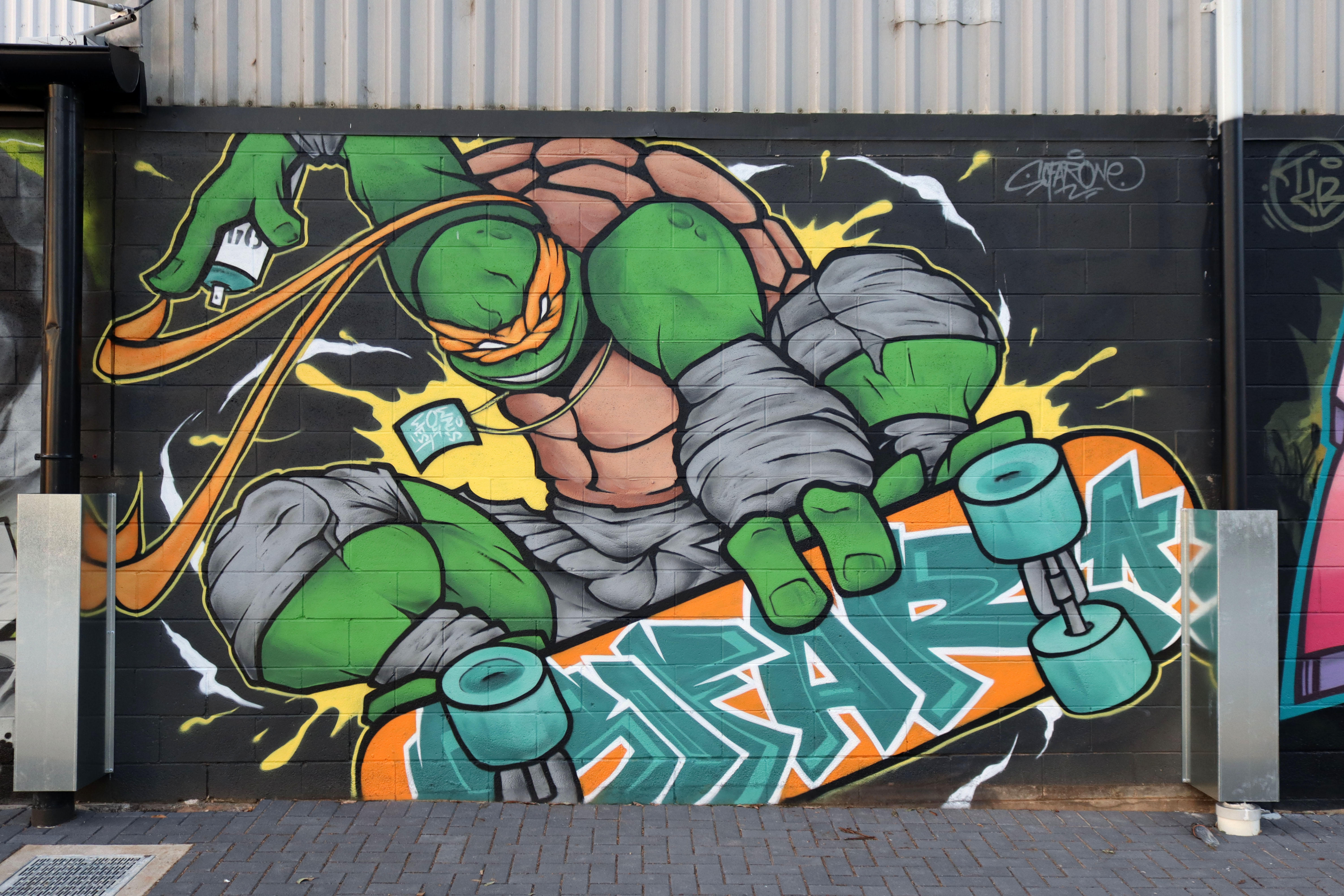 Michaelangelo by Sofarone | Street Art NSW
