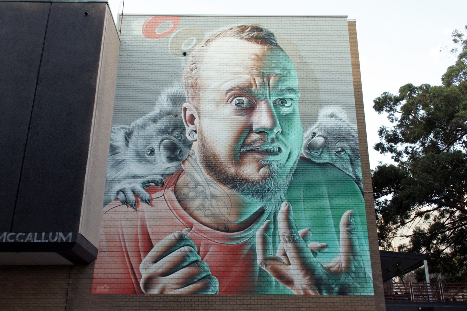 Koalas by Smug | Street Art NSW