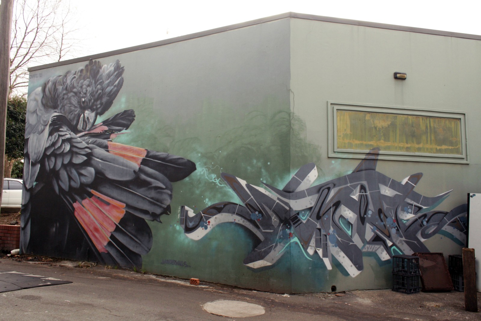 Glossy Black Cockatoo by Dvate | Street Art NSW