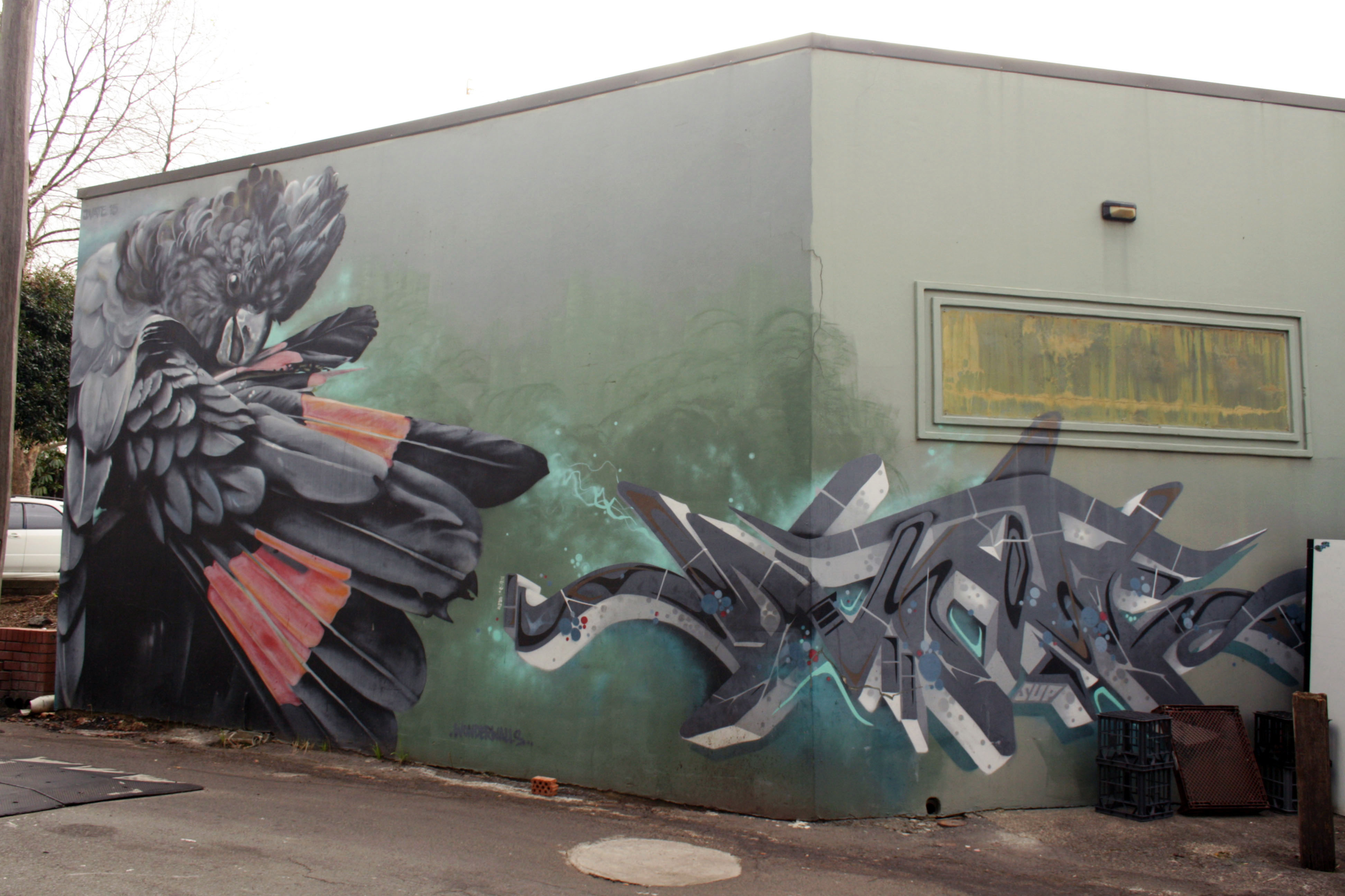 Glossy Black Cockatoo by Dvate | Street Art NSW