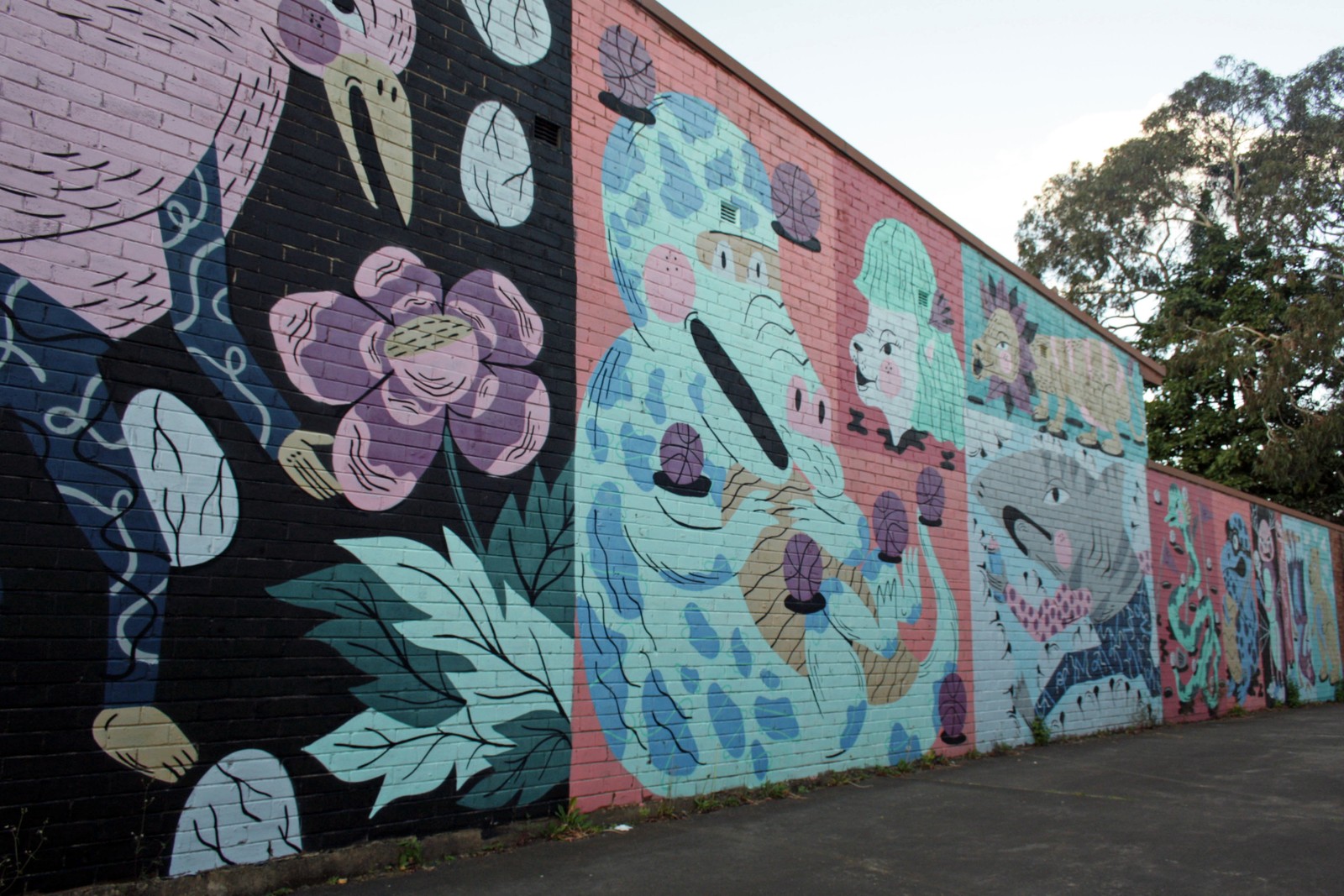 Untitled by bafcat | Street Art NSW
