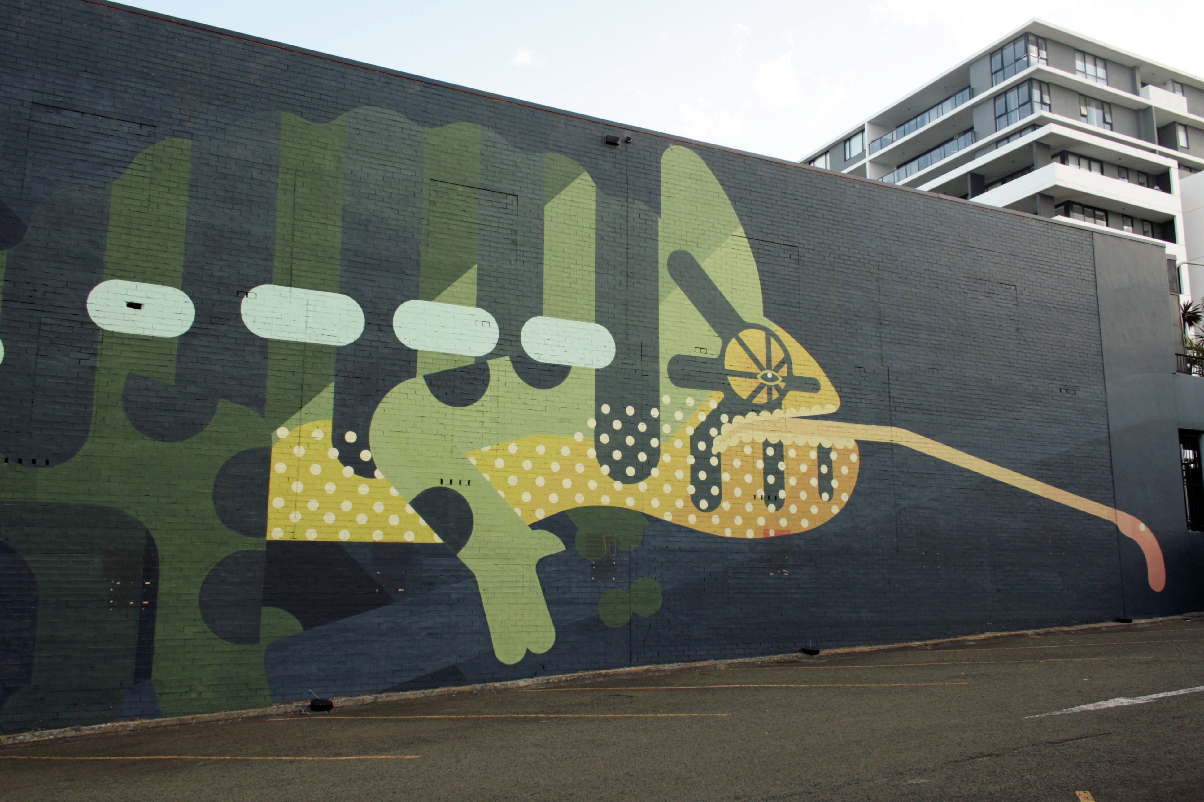 Chameleon by Amok Island | Street Art NSW
