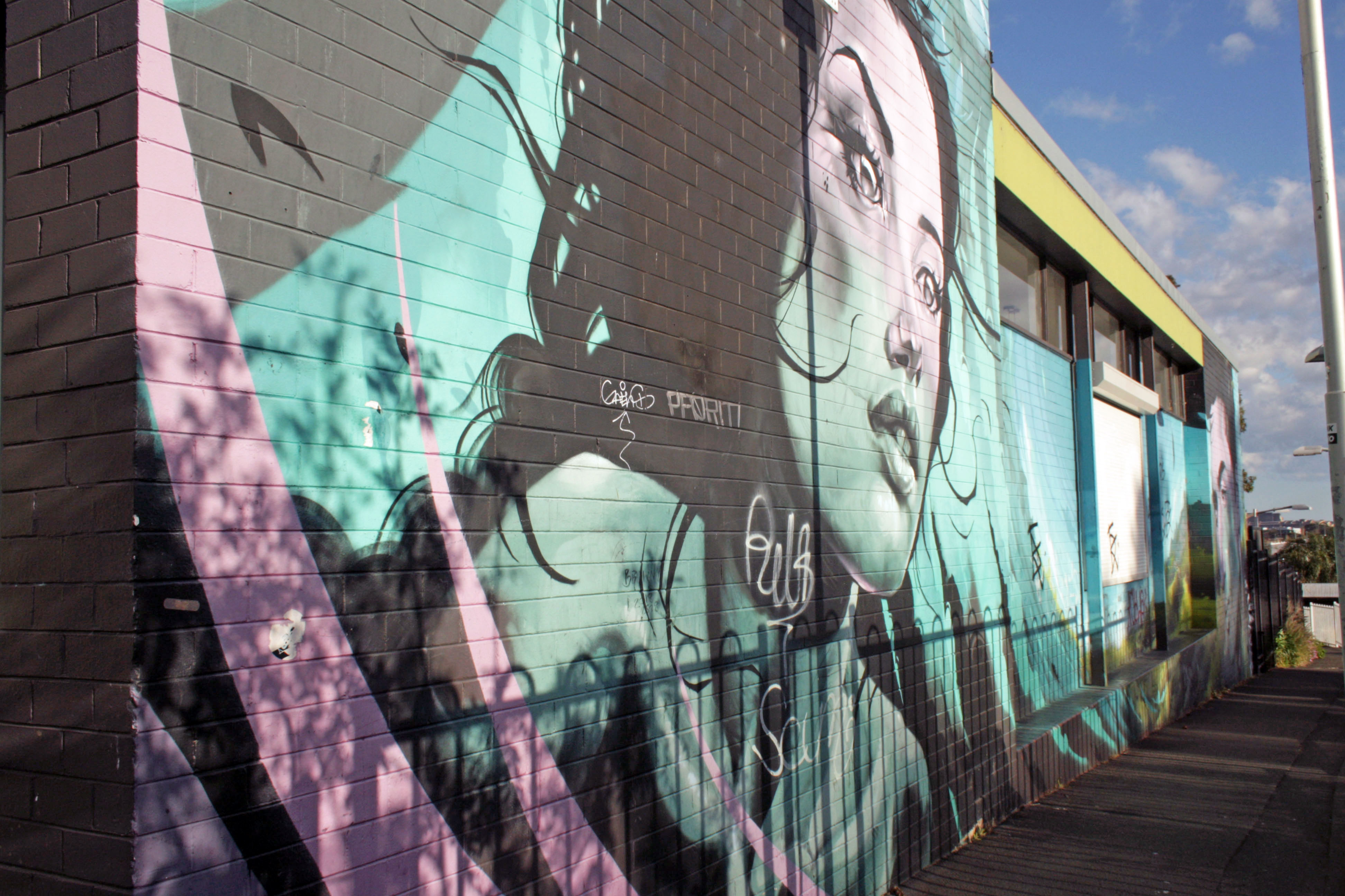 Untitled by Steve Cross | Street Art NSW
