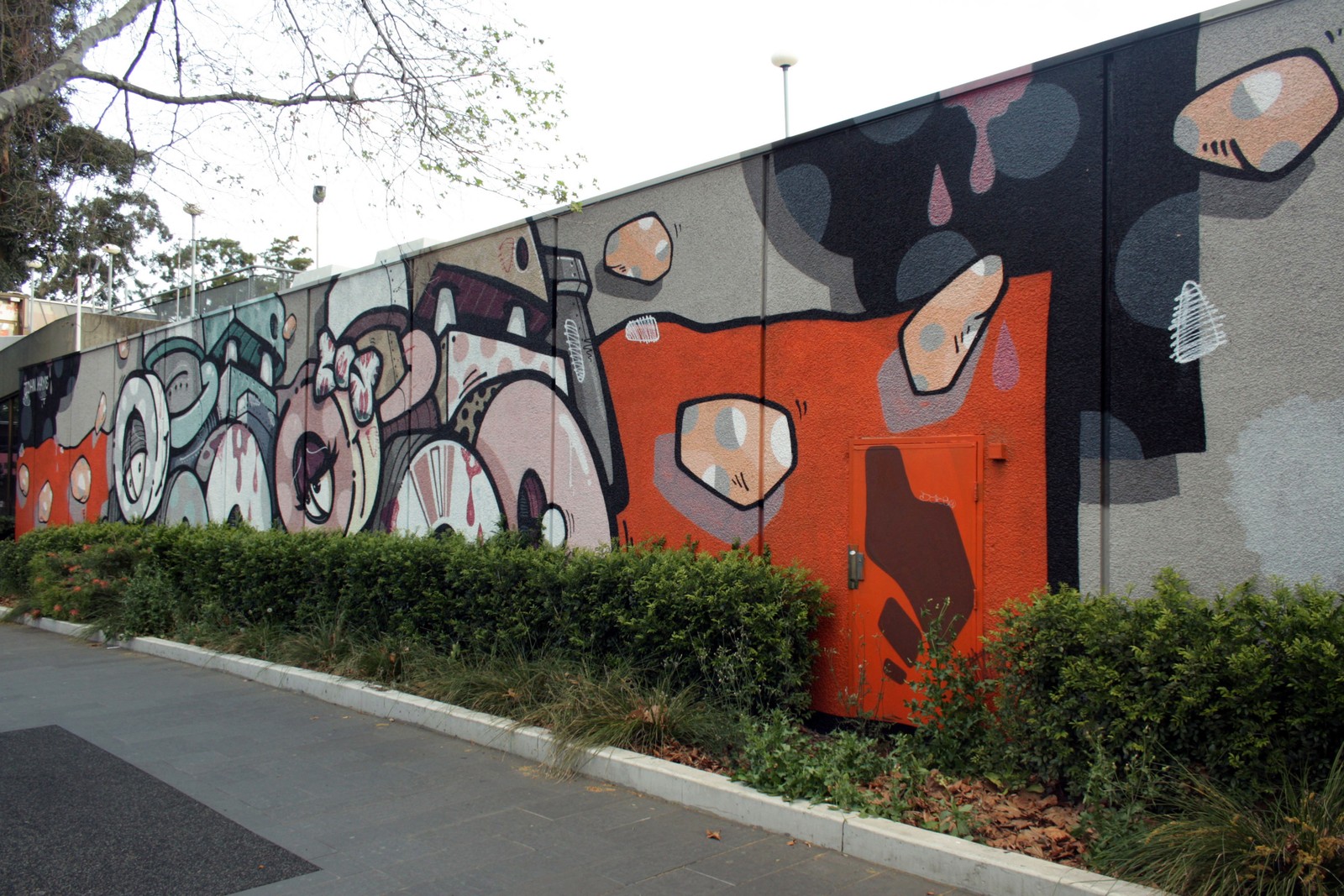 Untitled by John Kaye | Street Art NSW