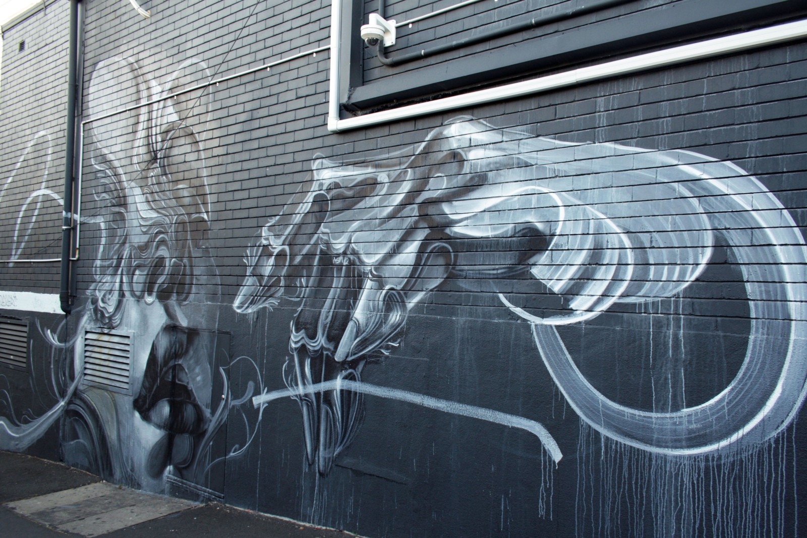 Untitled by Caratoes | Street Art NSW