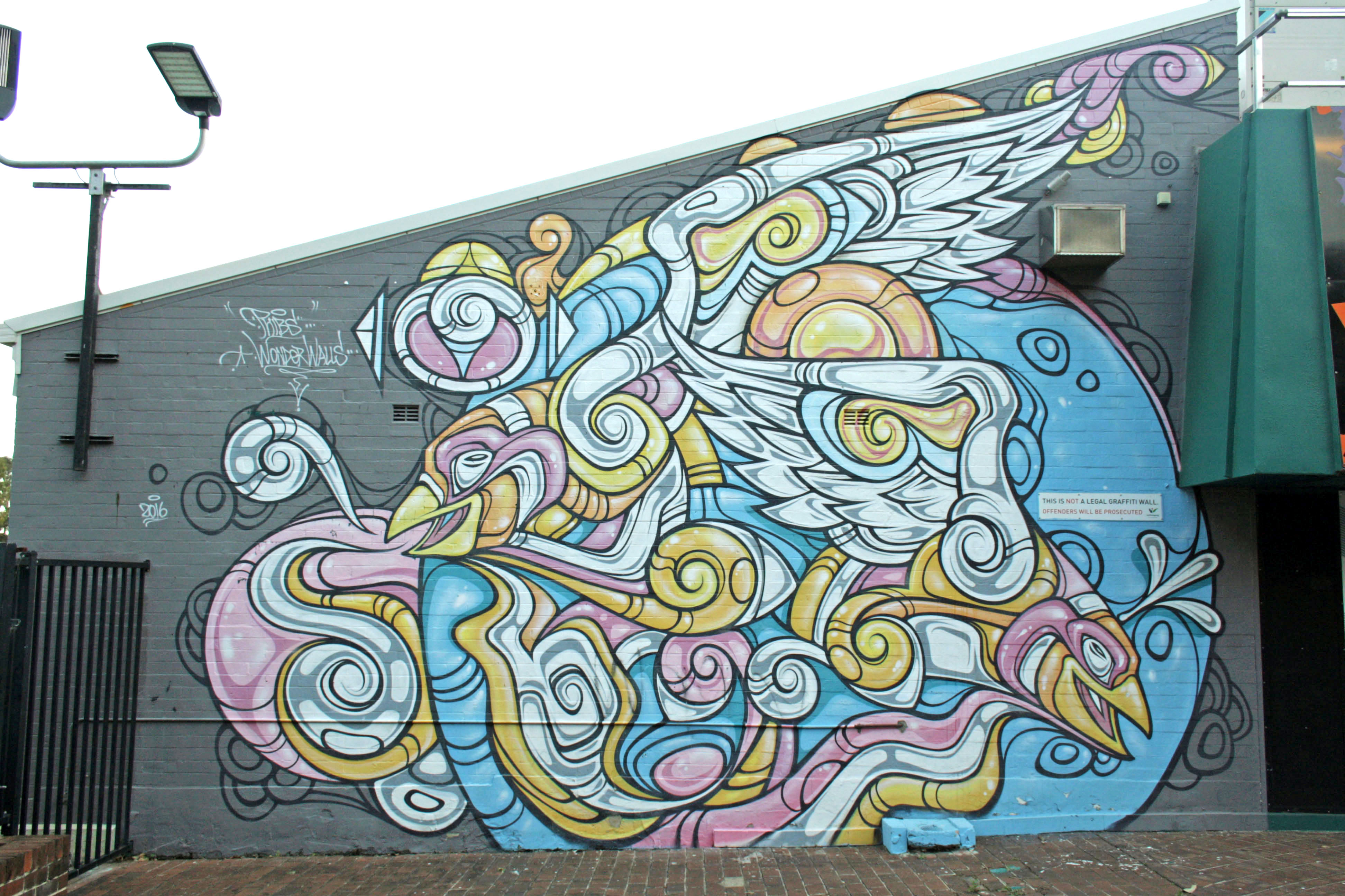 Untitled by Phibs | Street Art NSW