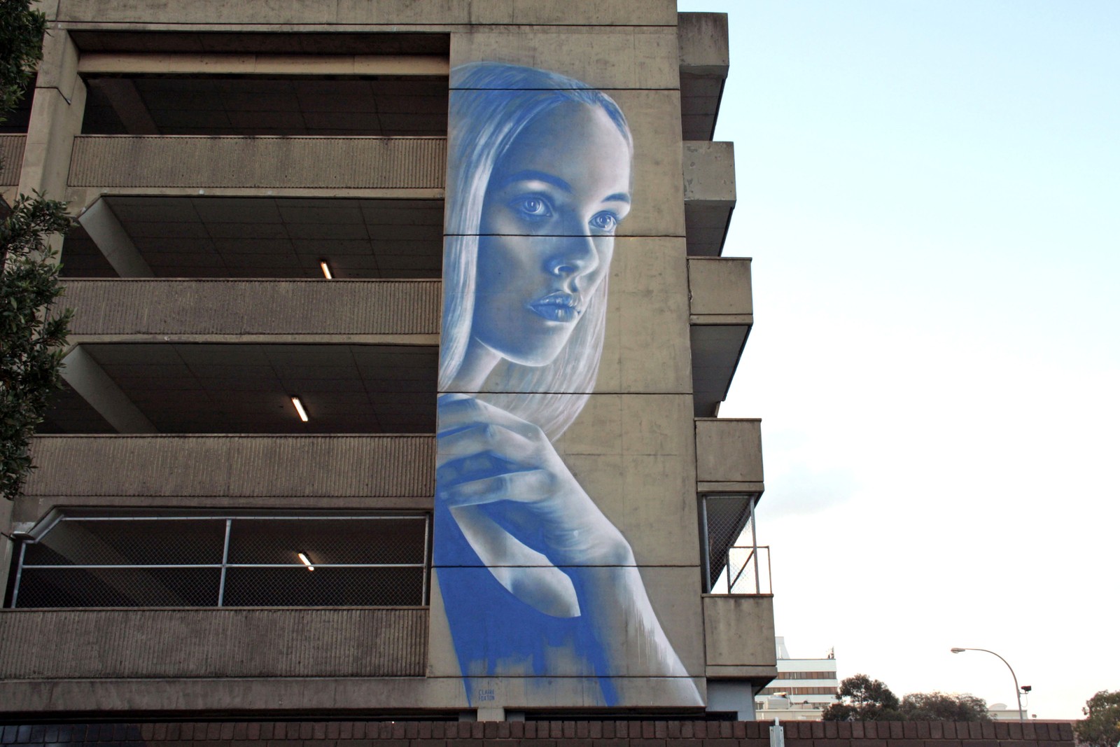 Skylar Davies by Claire Foxton | Street Art NSW