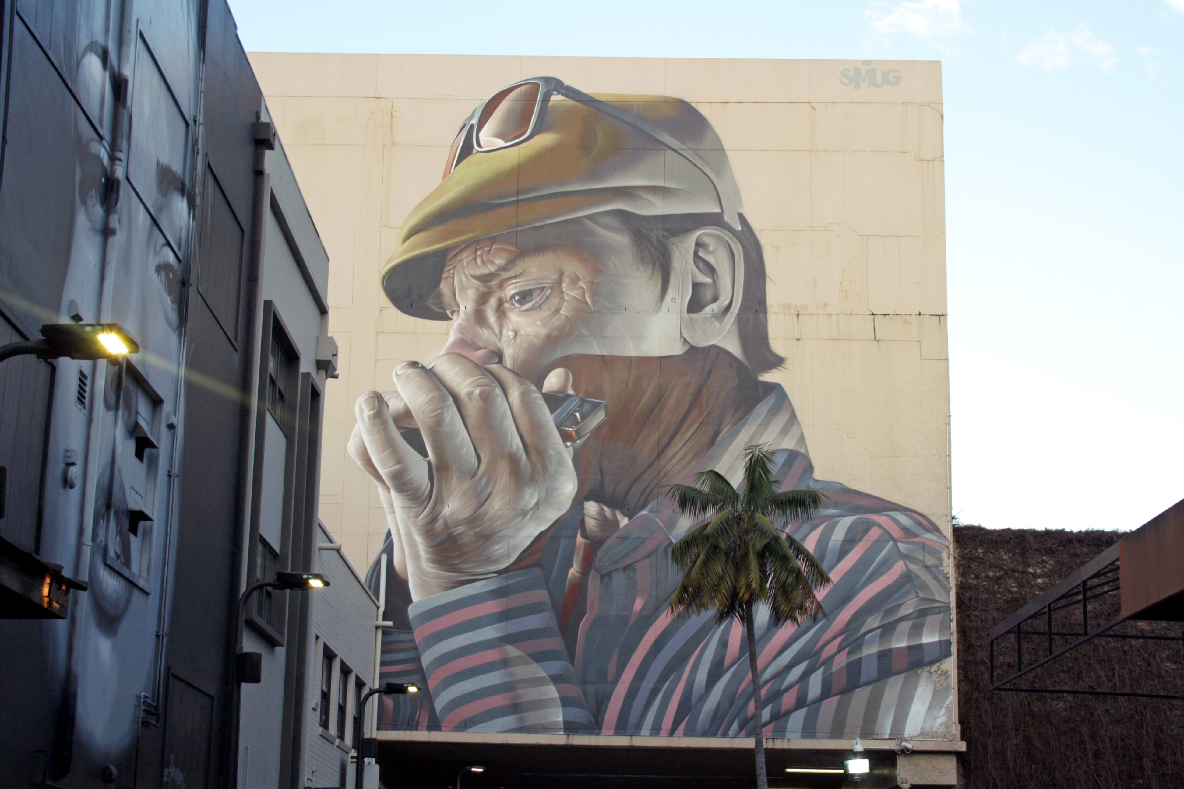 Harmonica Player