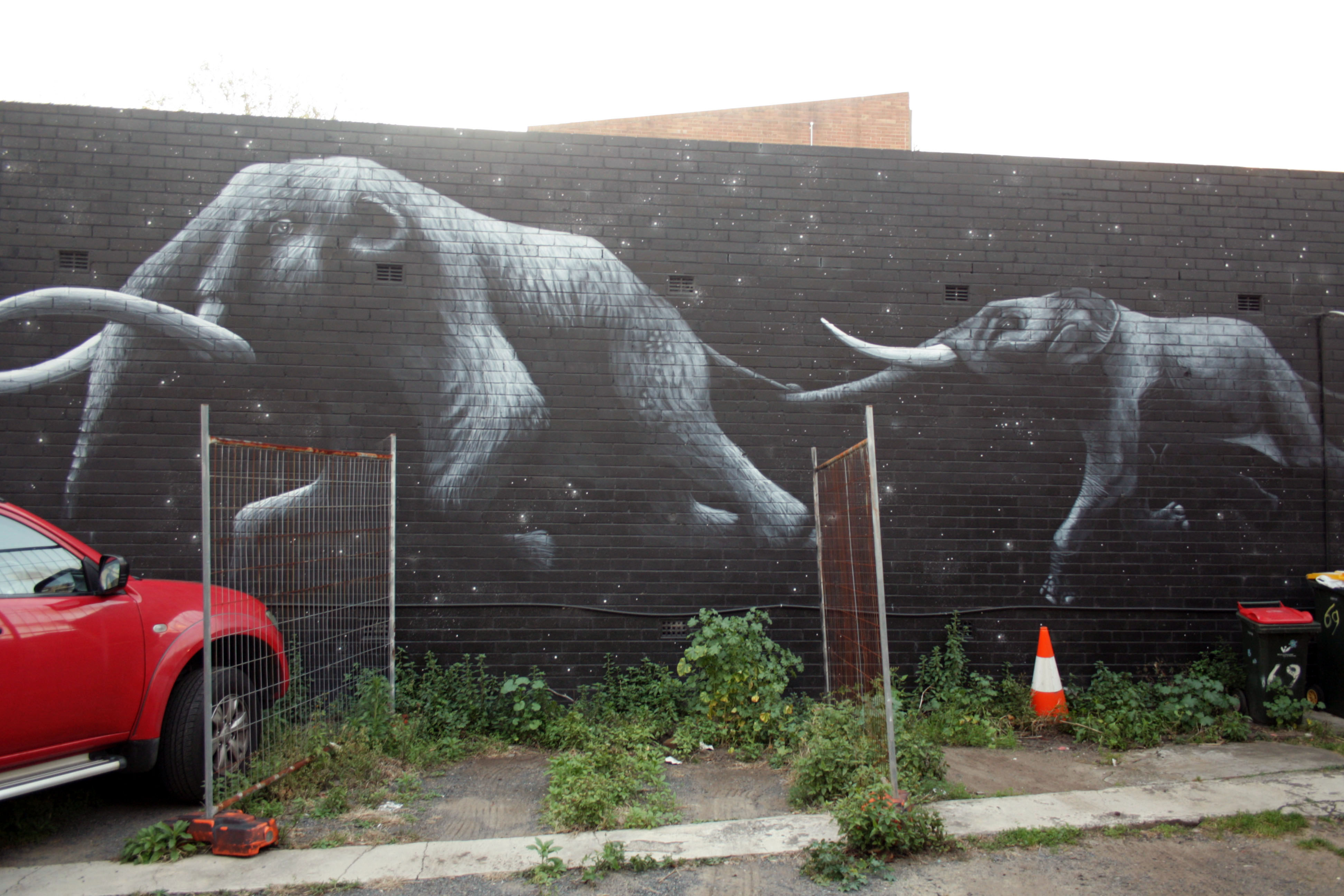 Follow the Leader by Fuzeillear | Street Art NSW