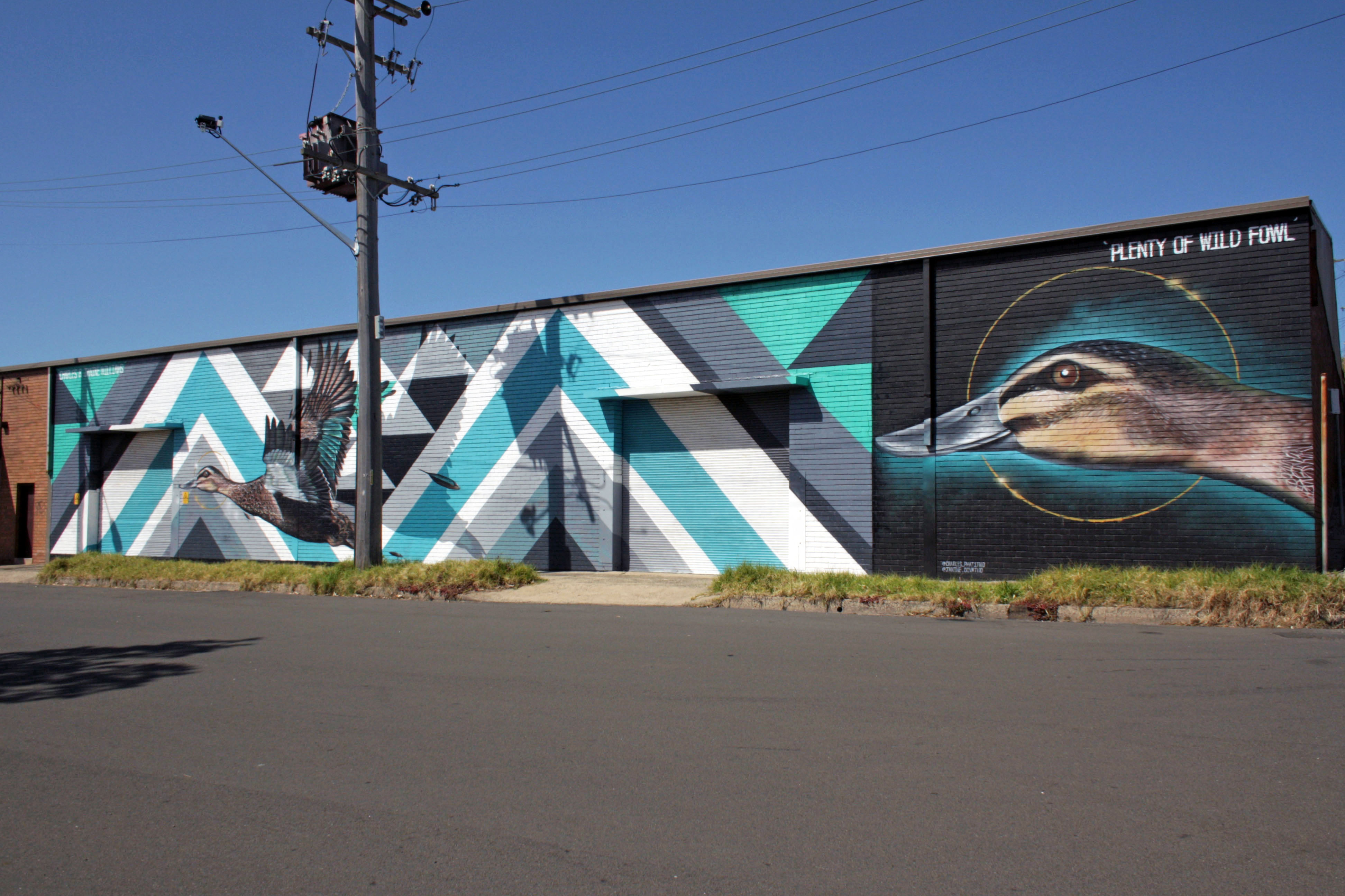 Plenty of Wild Fowl by Charles Williams | Street Art NSW