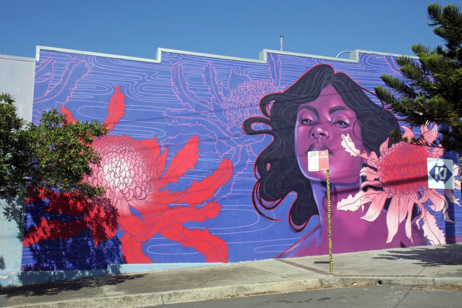 Untitled by Sarah McCloskey | Street Art NSW
