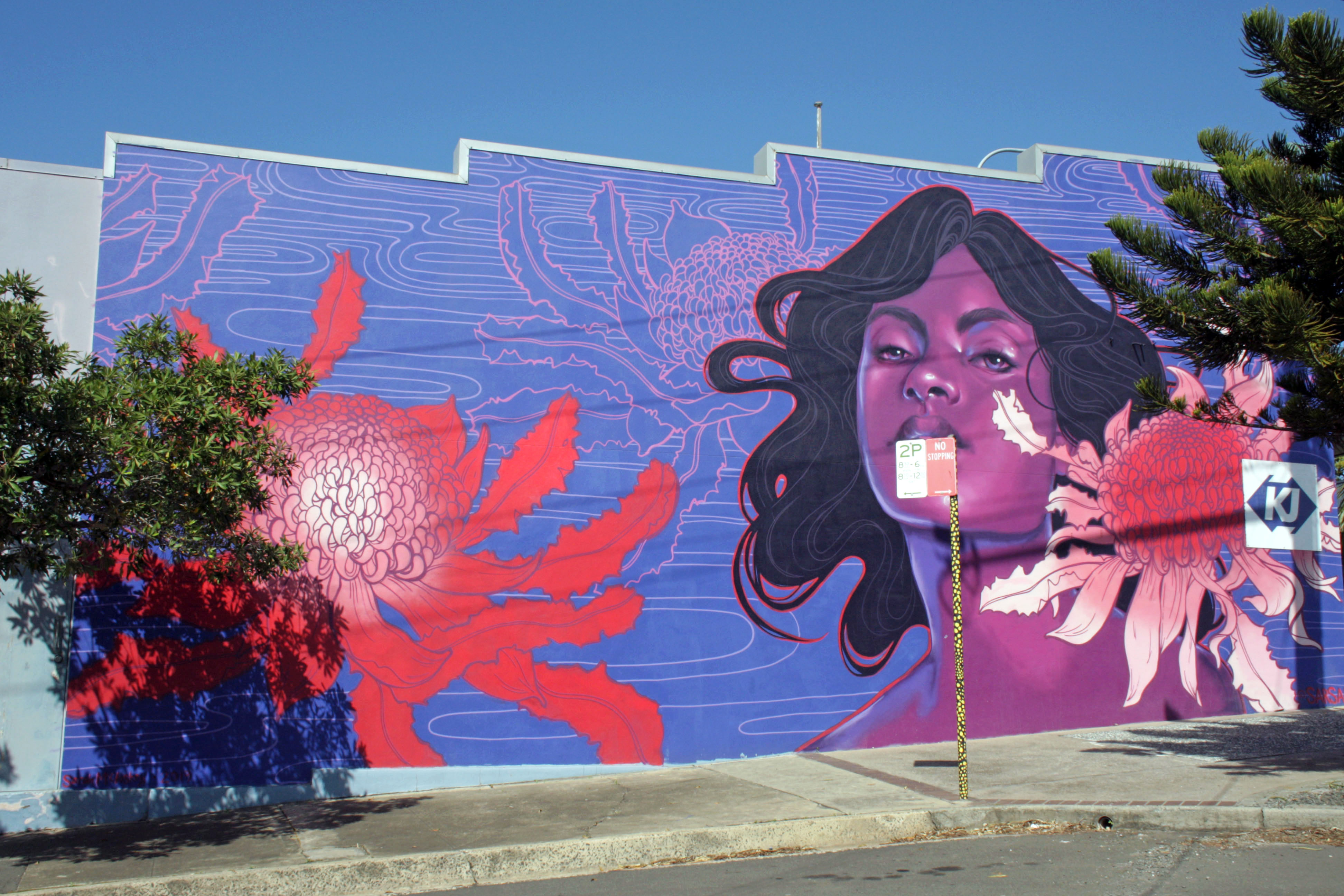 Untitled by Sarah McCloskey | Street Art NSW