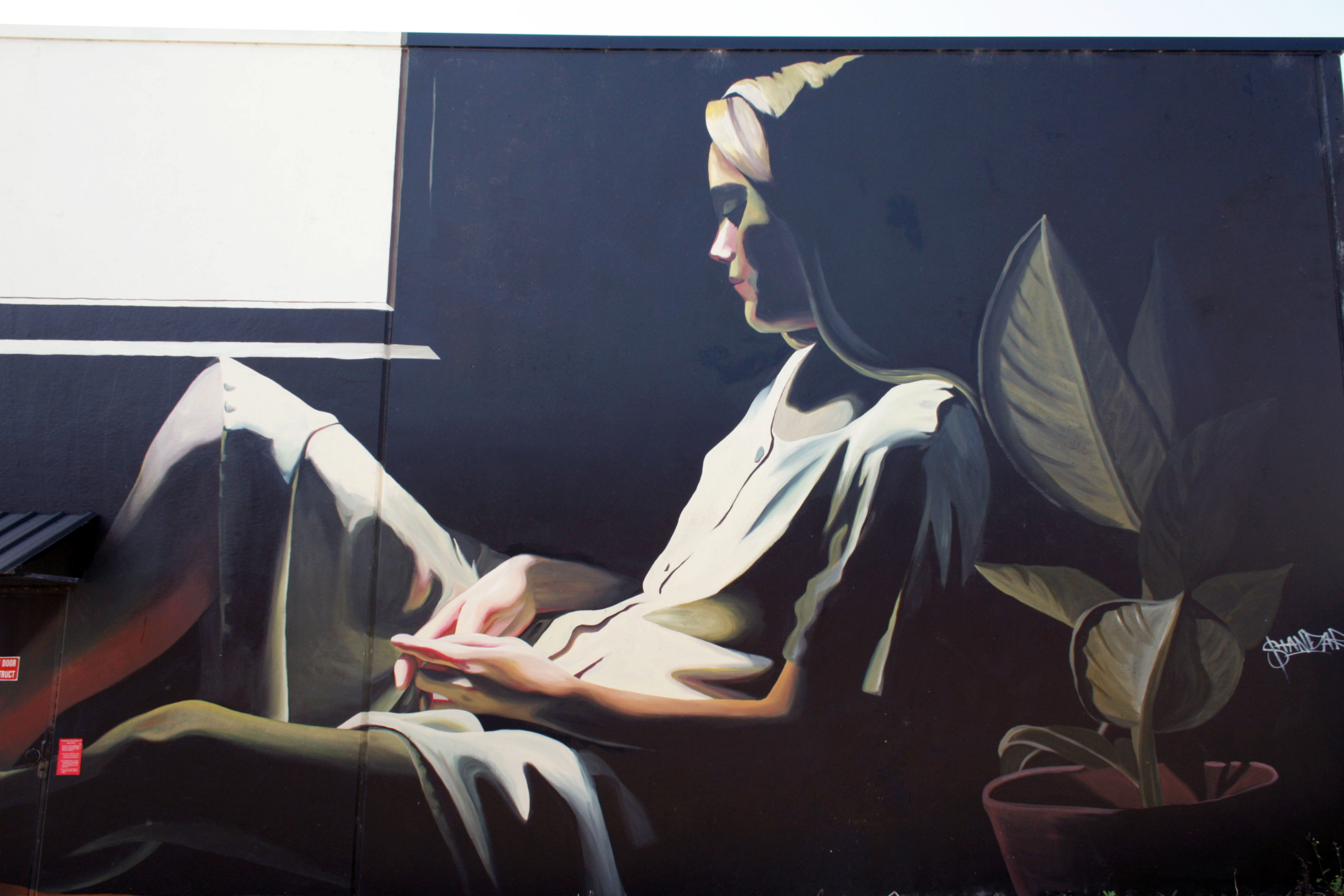 Untitled by Loretta Lizzio | Street Art NSW