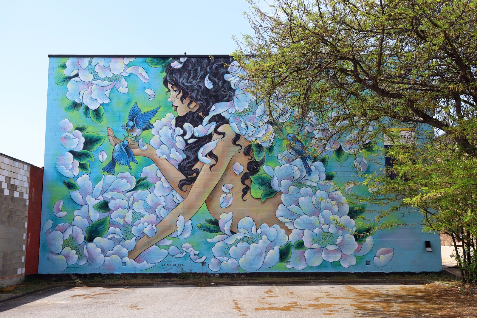 Violet by Amanda Lynn | Street Art NSW