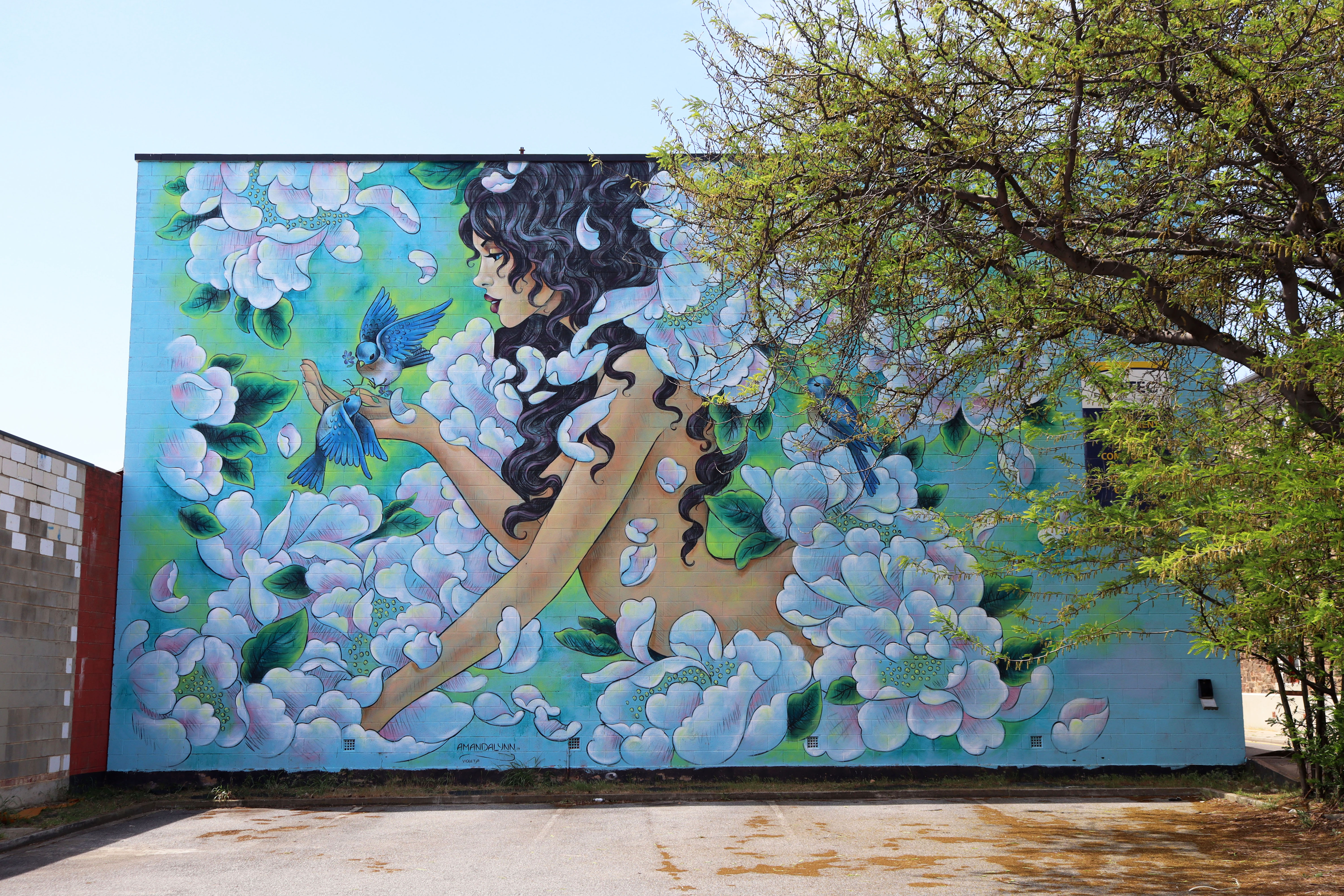 Violet by Amanda Lynn | Street Art NSW