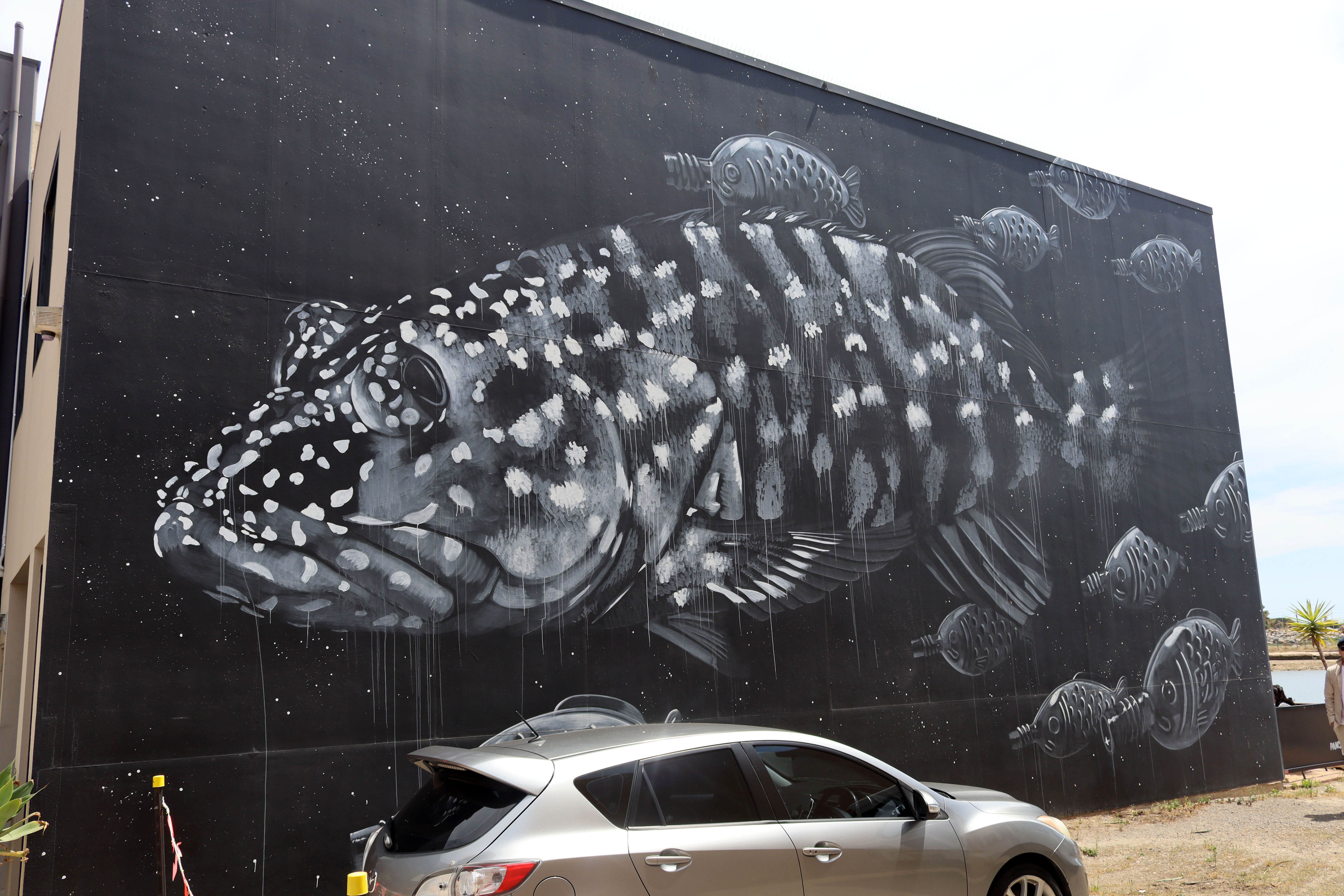 Invasive Species