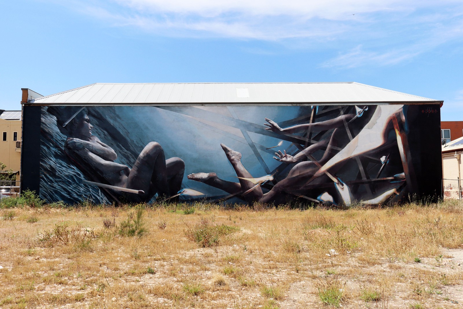 Dive by Vesod | Street Art NSW