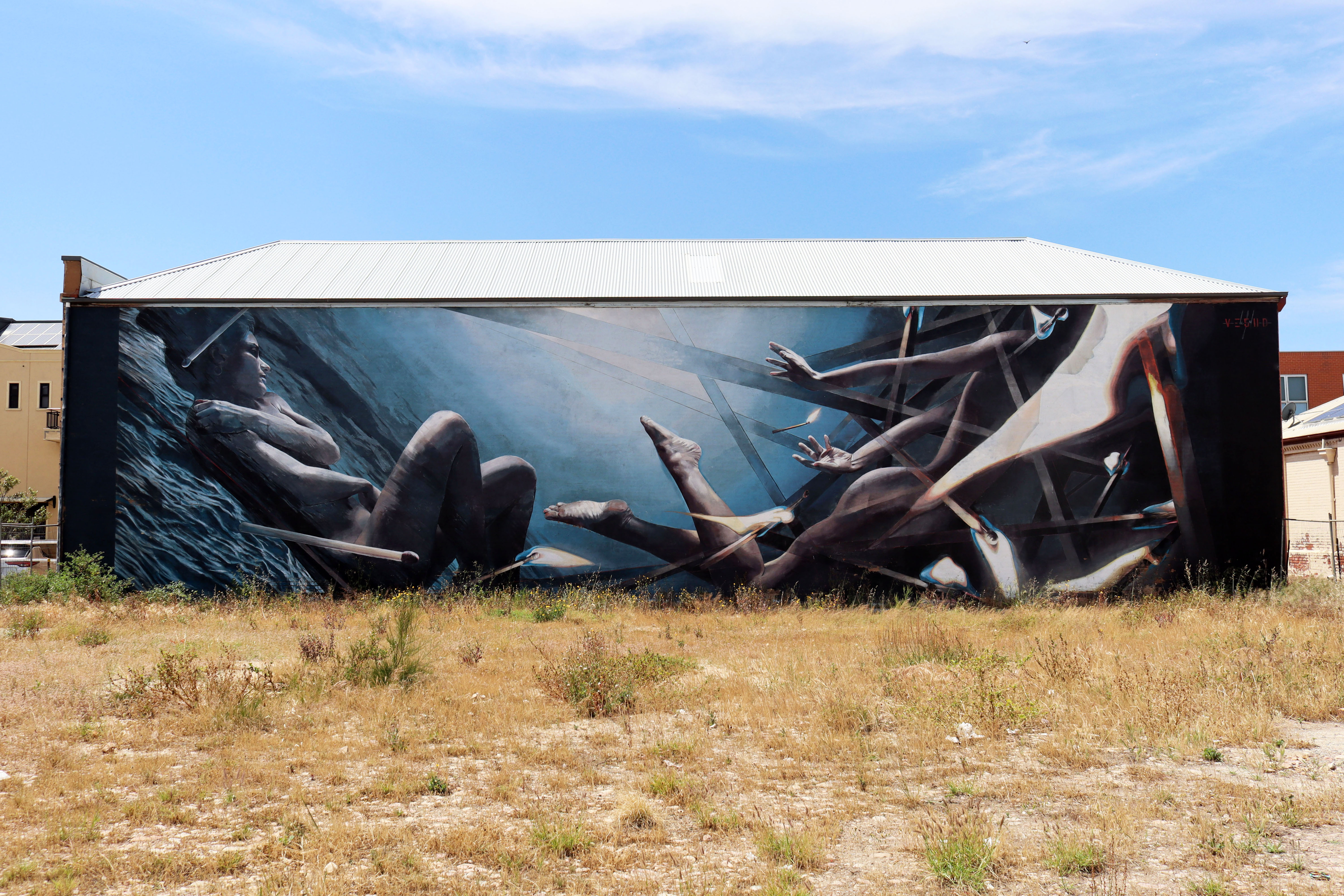 Dive by Vesod | Street Art NSW