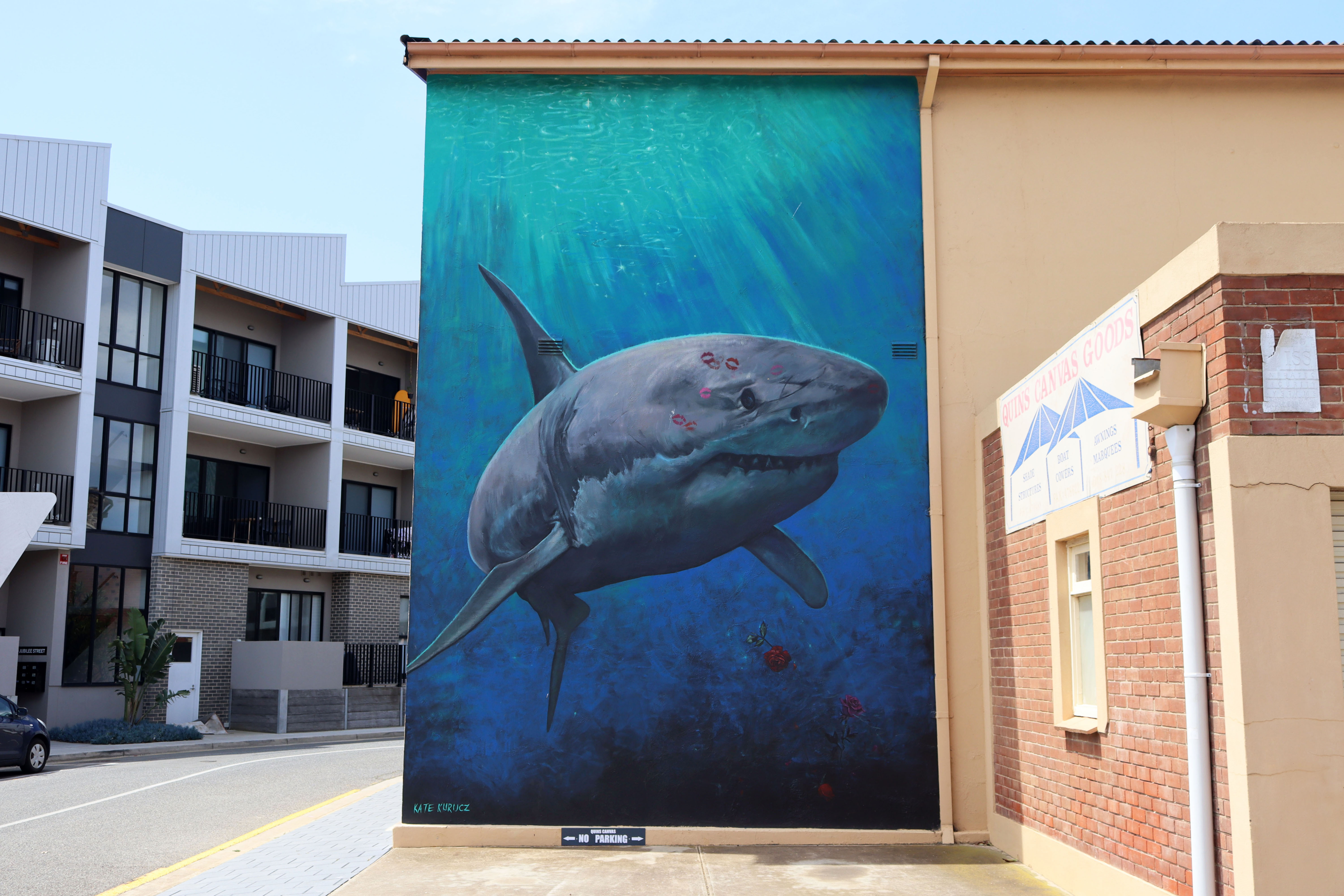 Untitled by Kate Kurucz | Street Art NSW