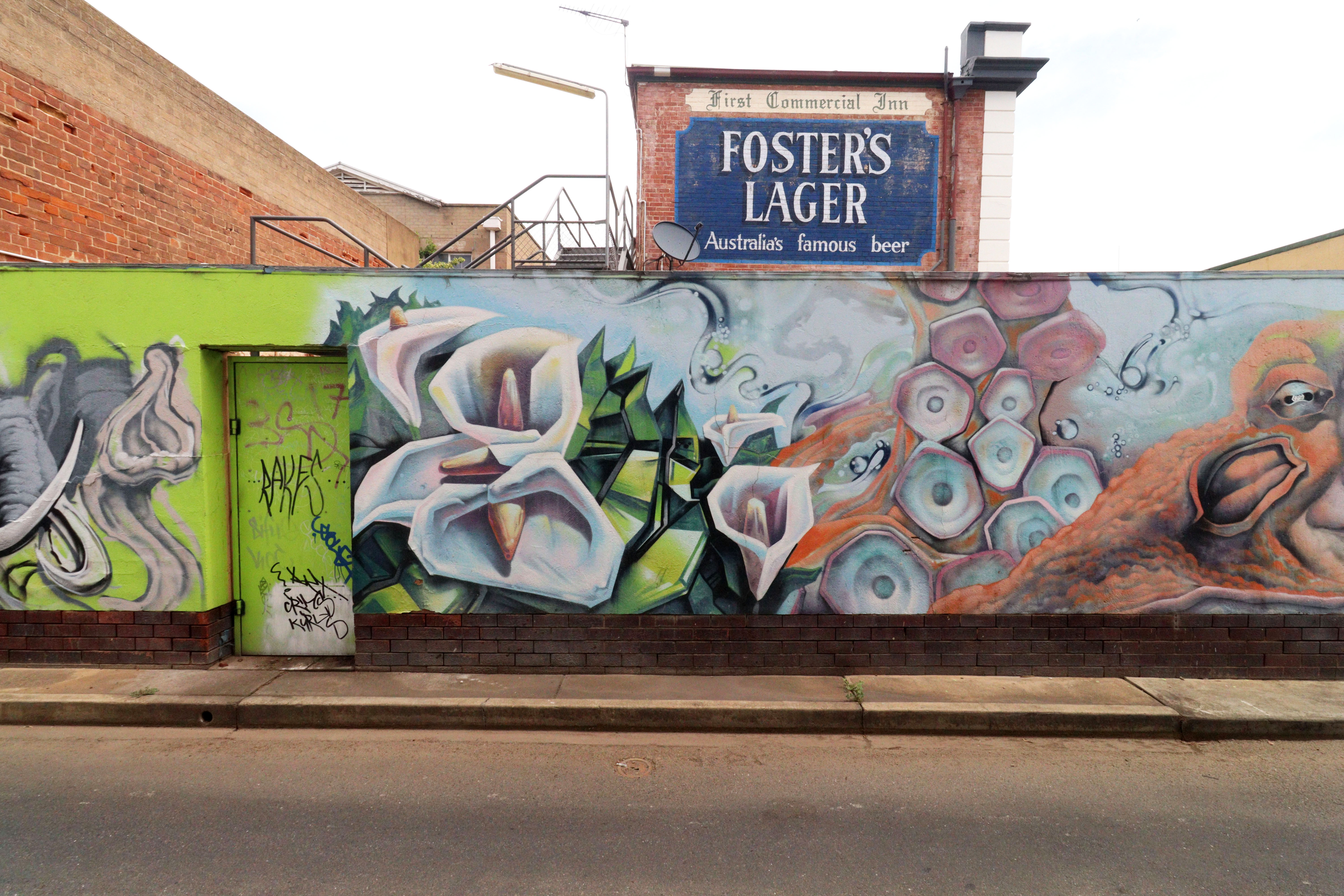 Untitled by Craig Masika | Street Art NSW
