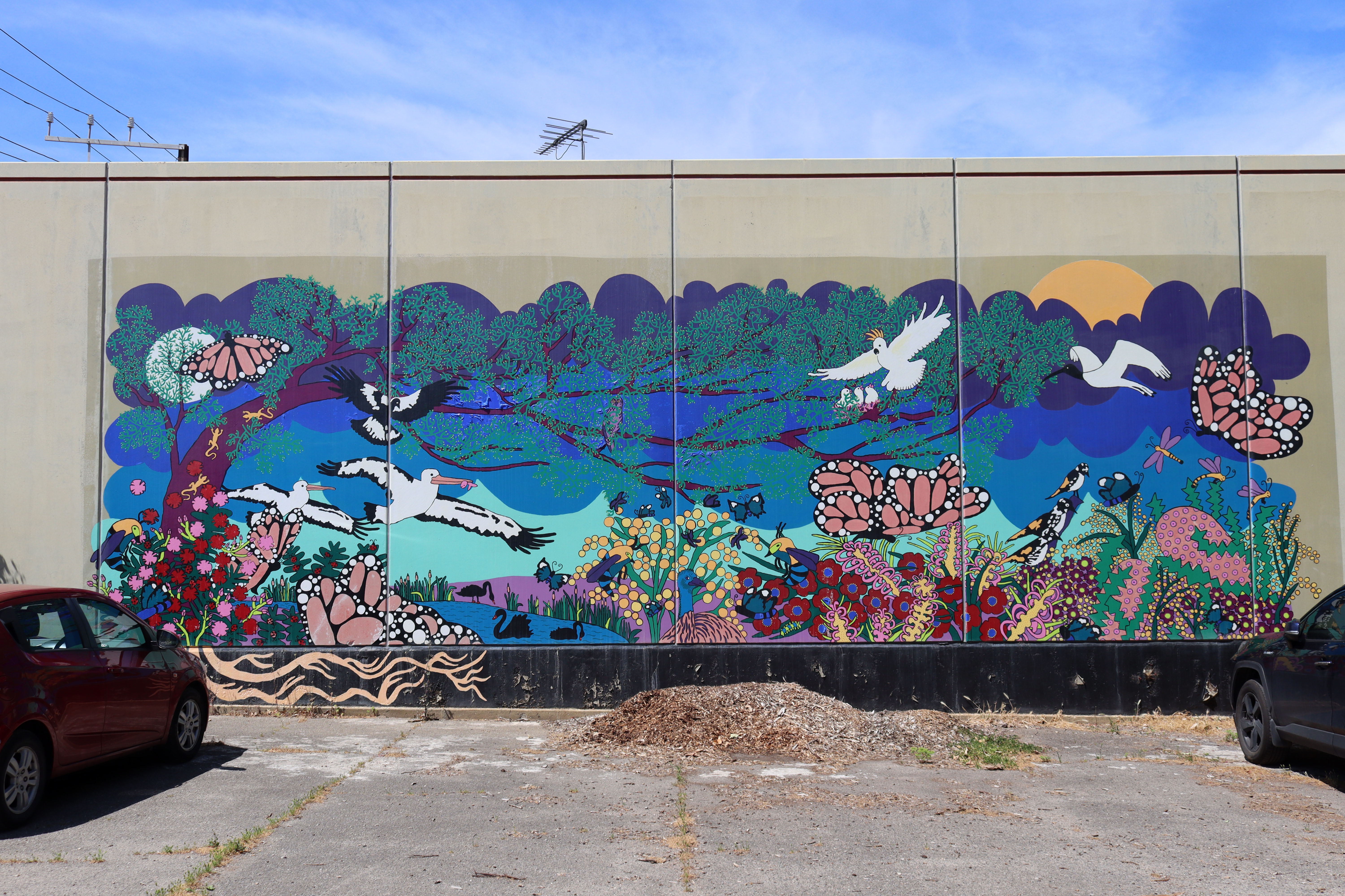 Community Mural by SpinFX AustrAliA | Street Art NSW