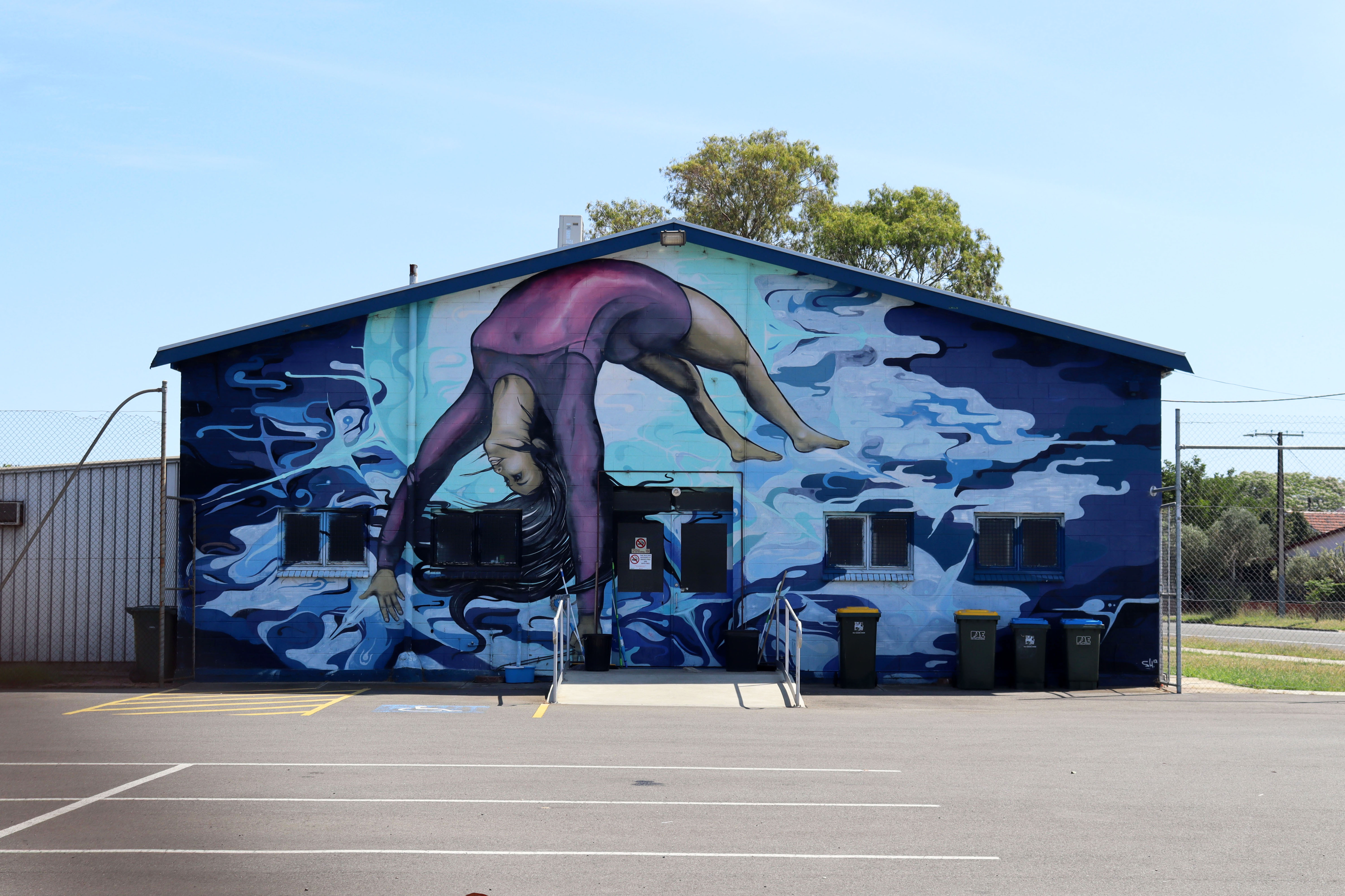 Dynamic Gymnastics Club | Street Art NSW