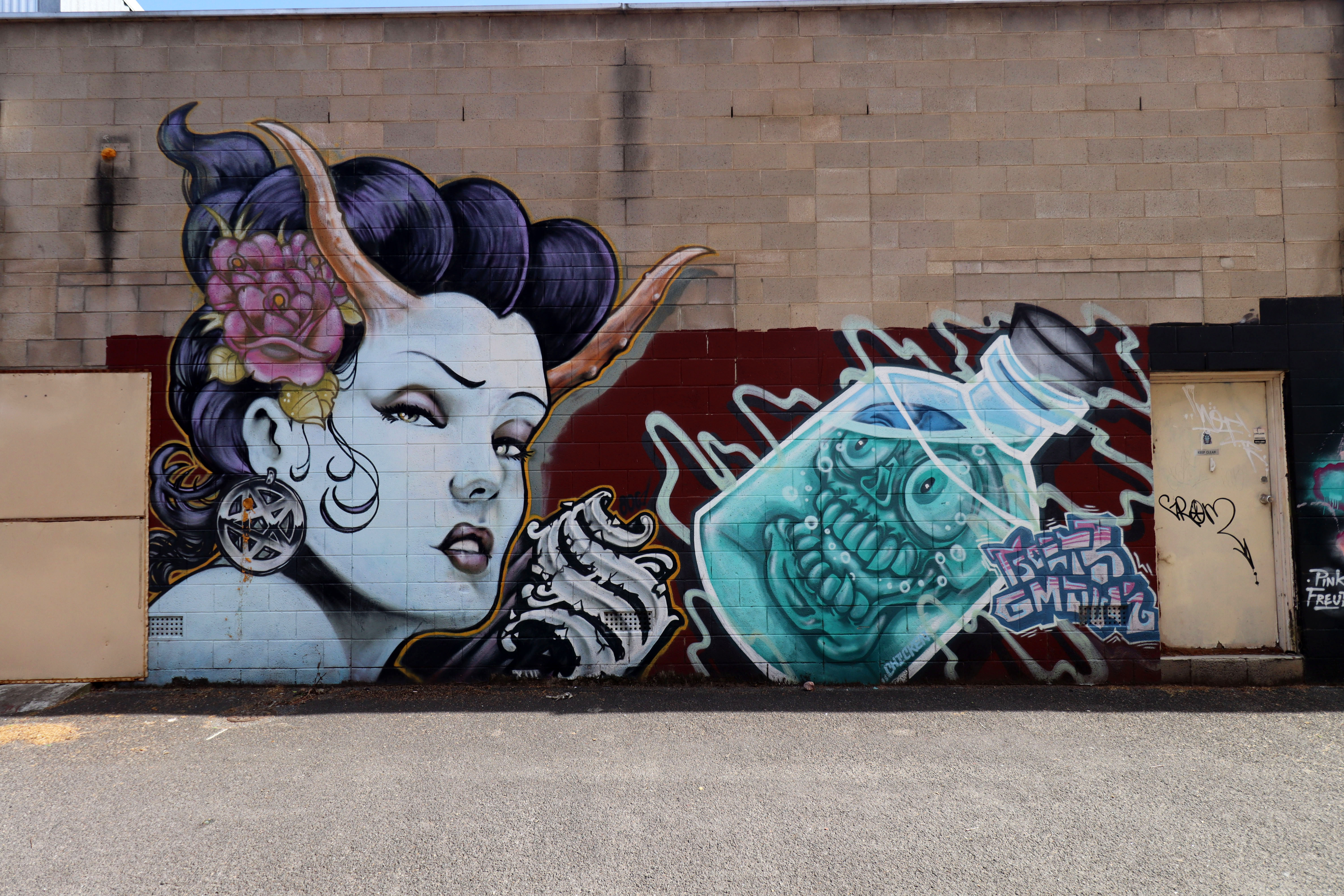 Untitled | Street Art NSW