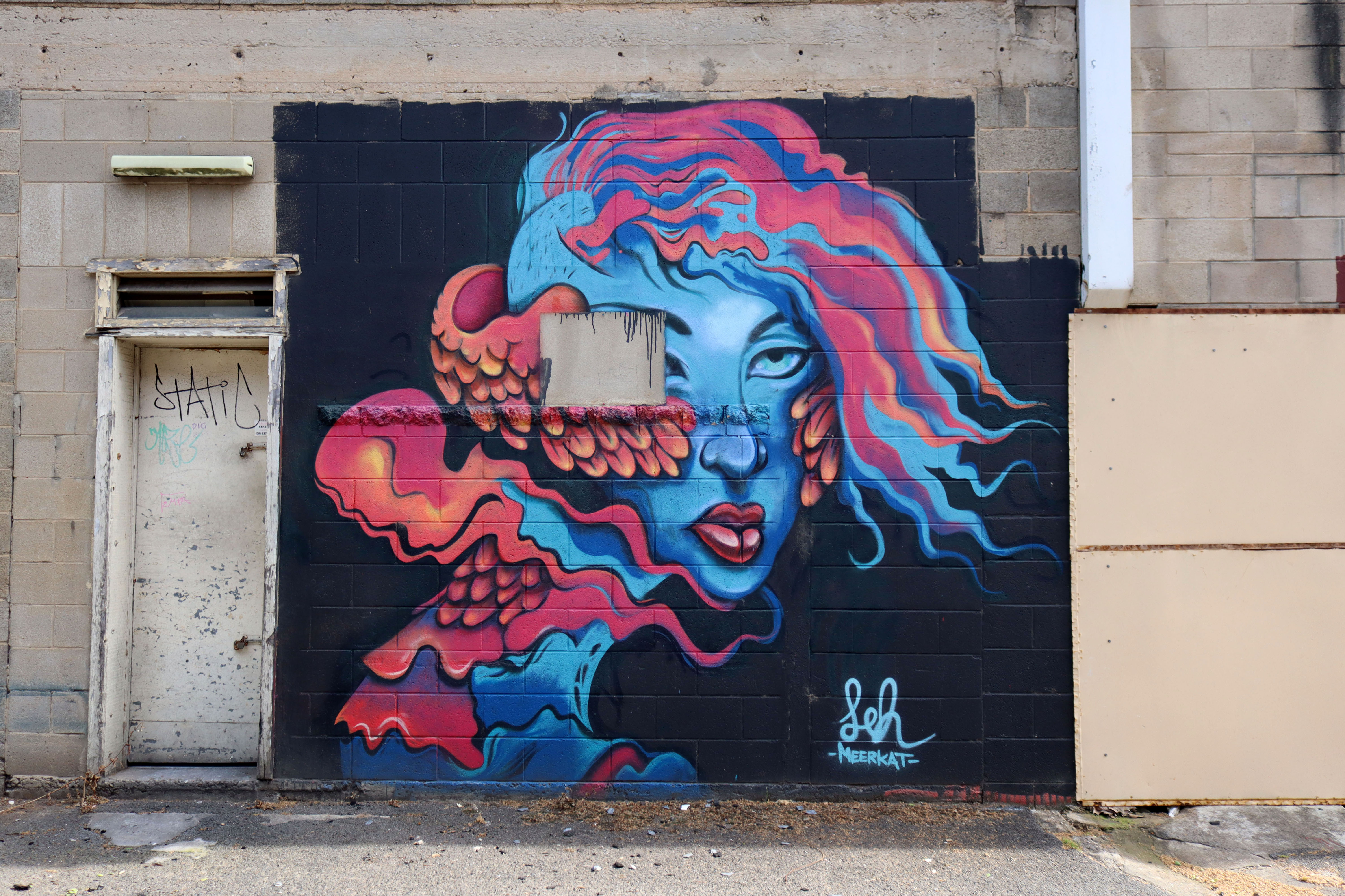 Untitled | Street Art NSW
