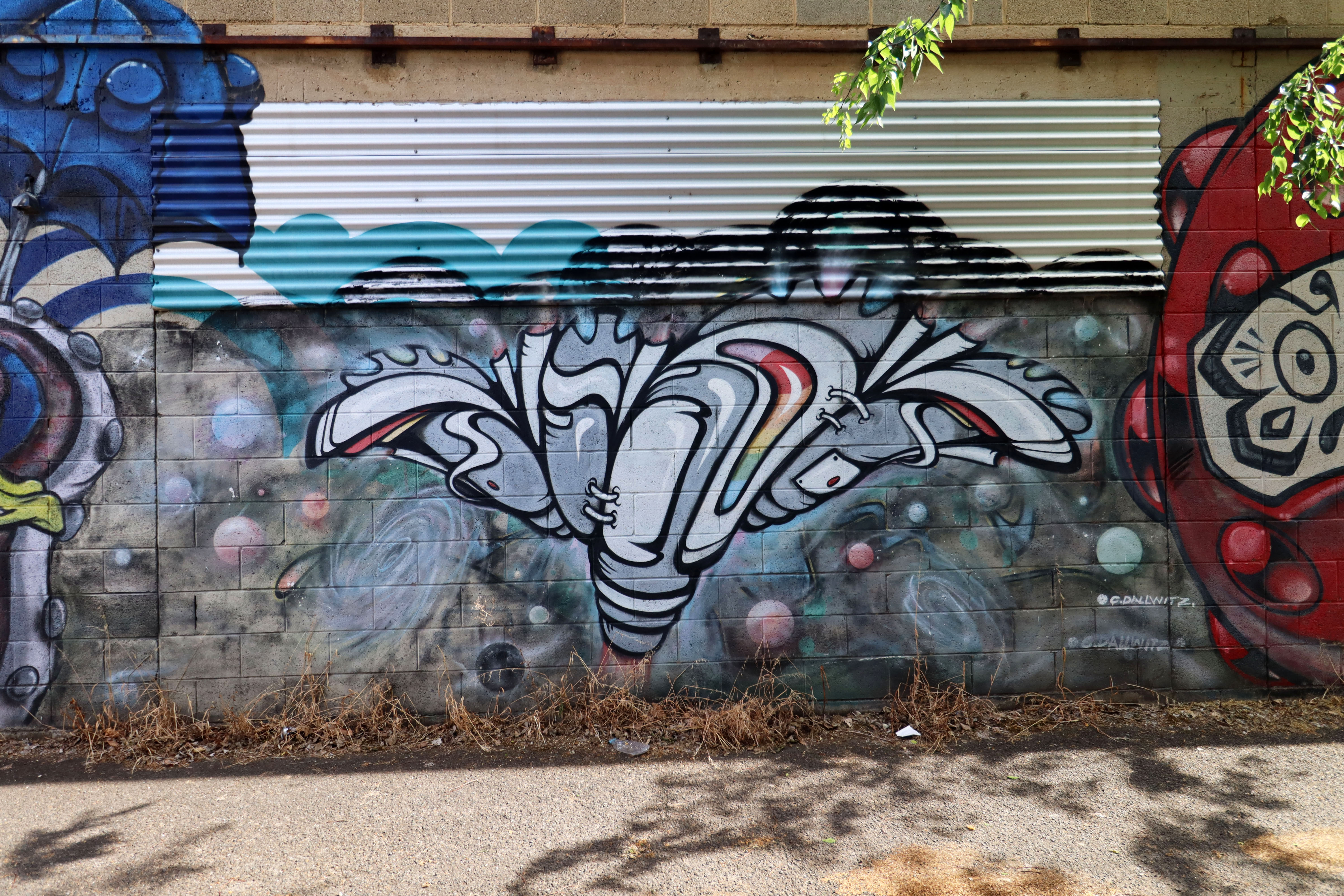 Untitled by Chris Dallwitz | Street Art NSW