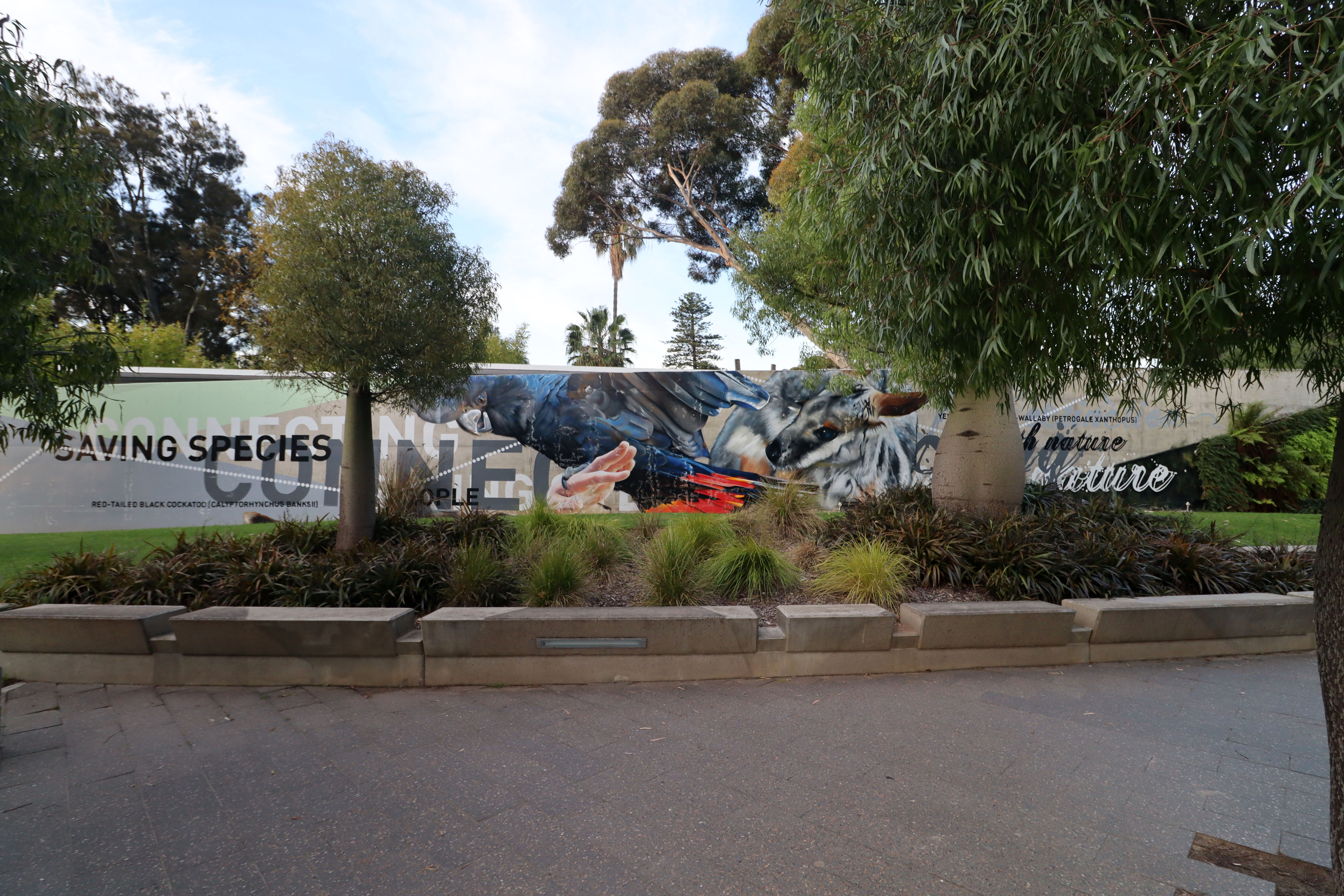 Adelaide Zoo by Dvate | Street Art NSW