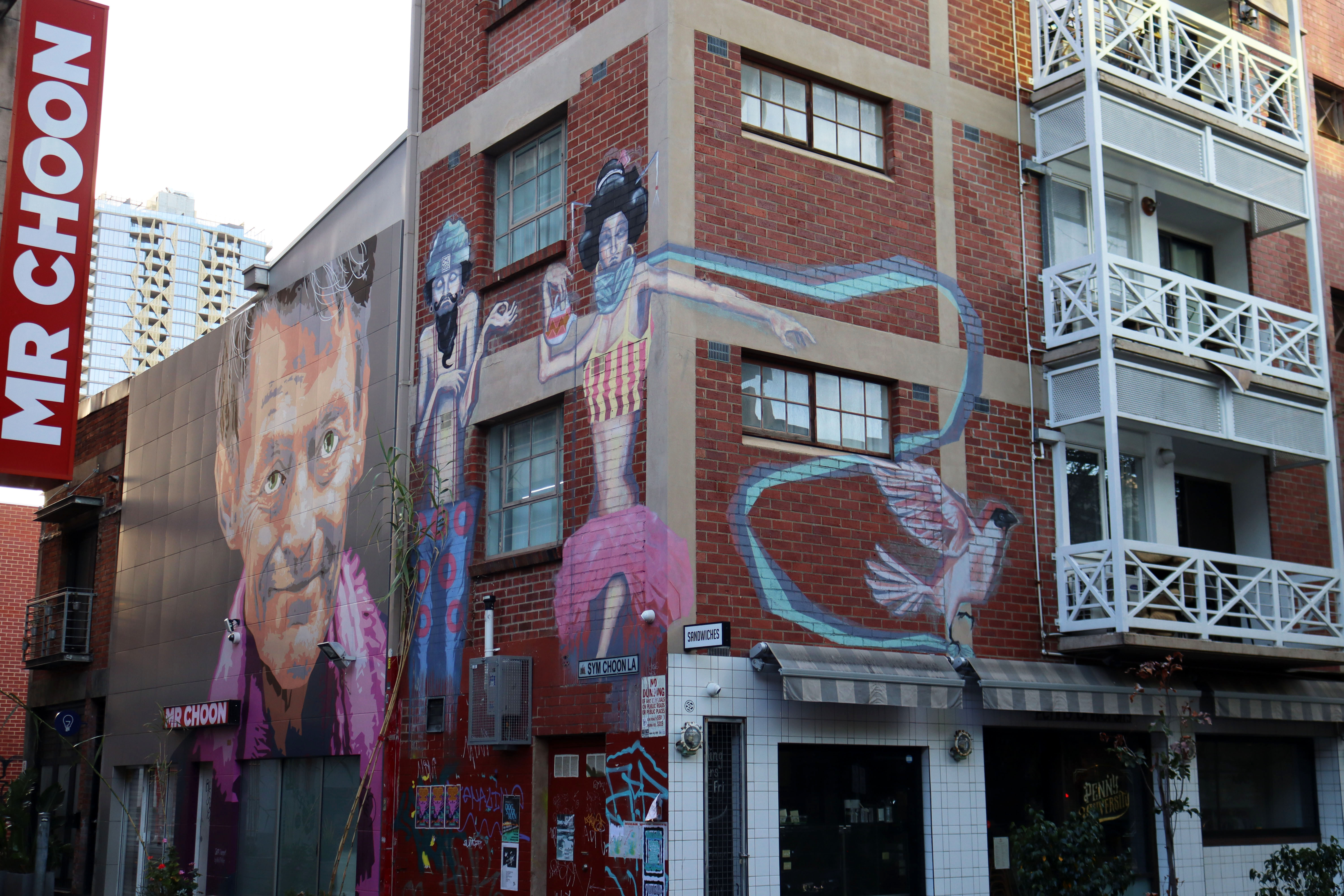 Untitled by Cam Kerr | Street Art NSW