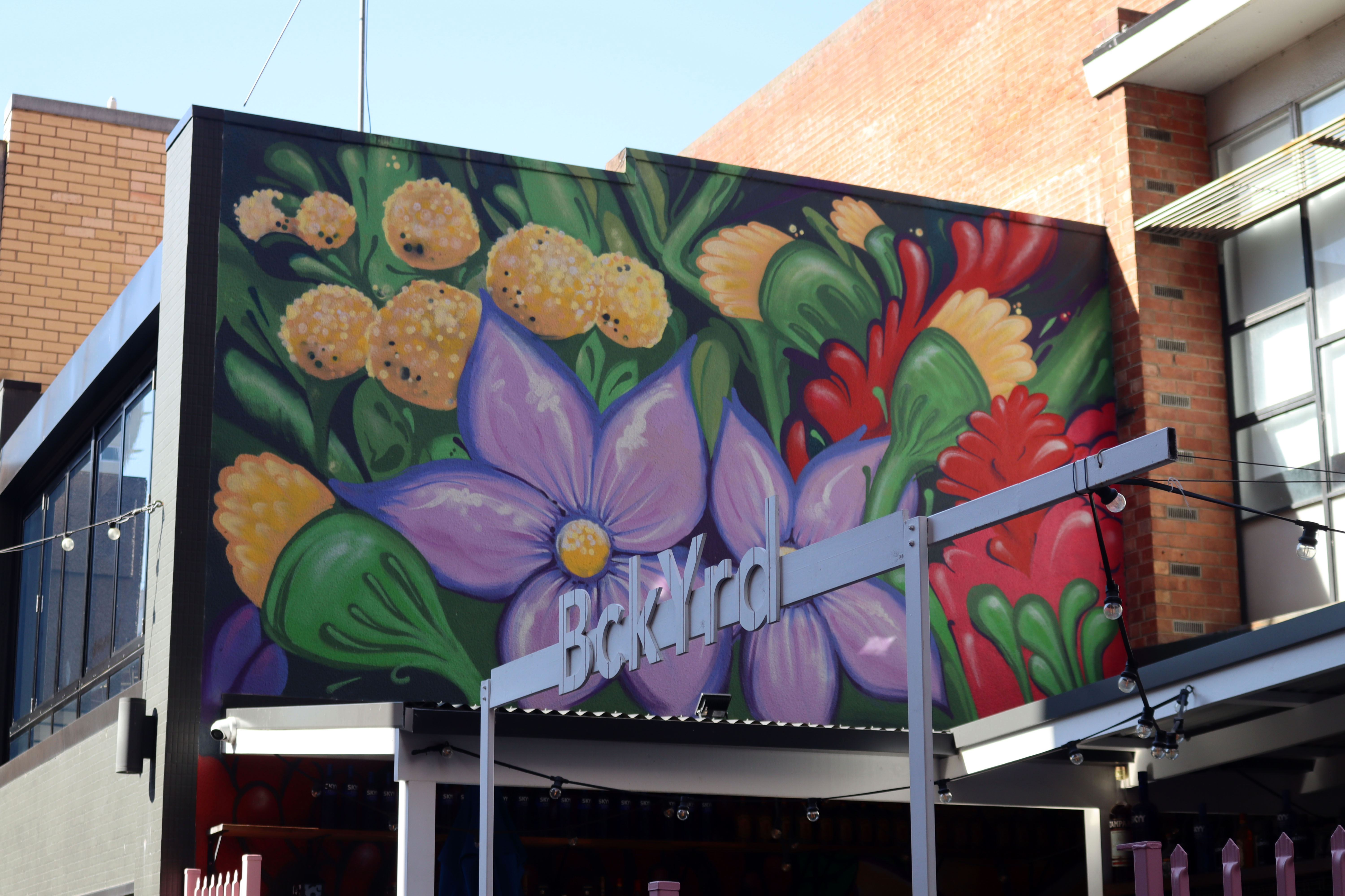 BCKYRD | Street Art NSW
