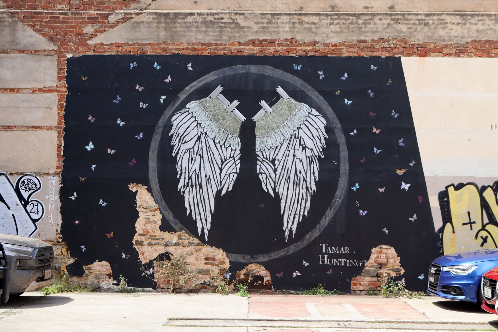 Metamorphosis by Tamara Huntington | Street Art NSW