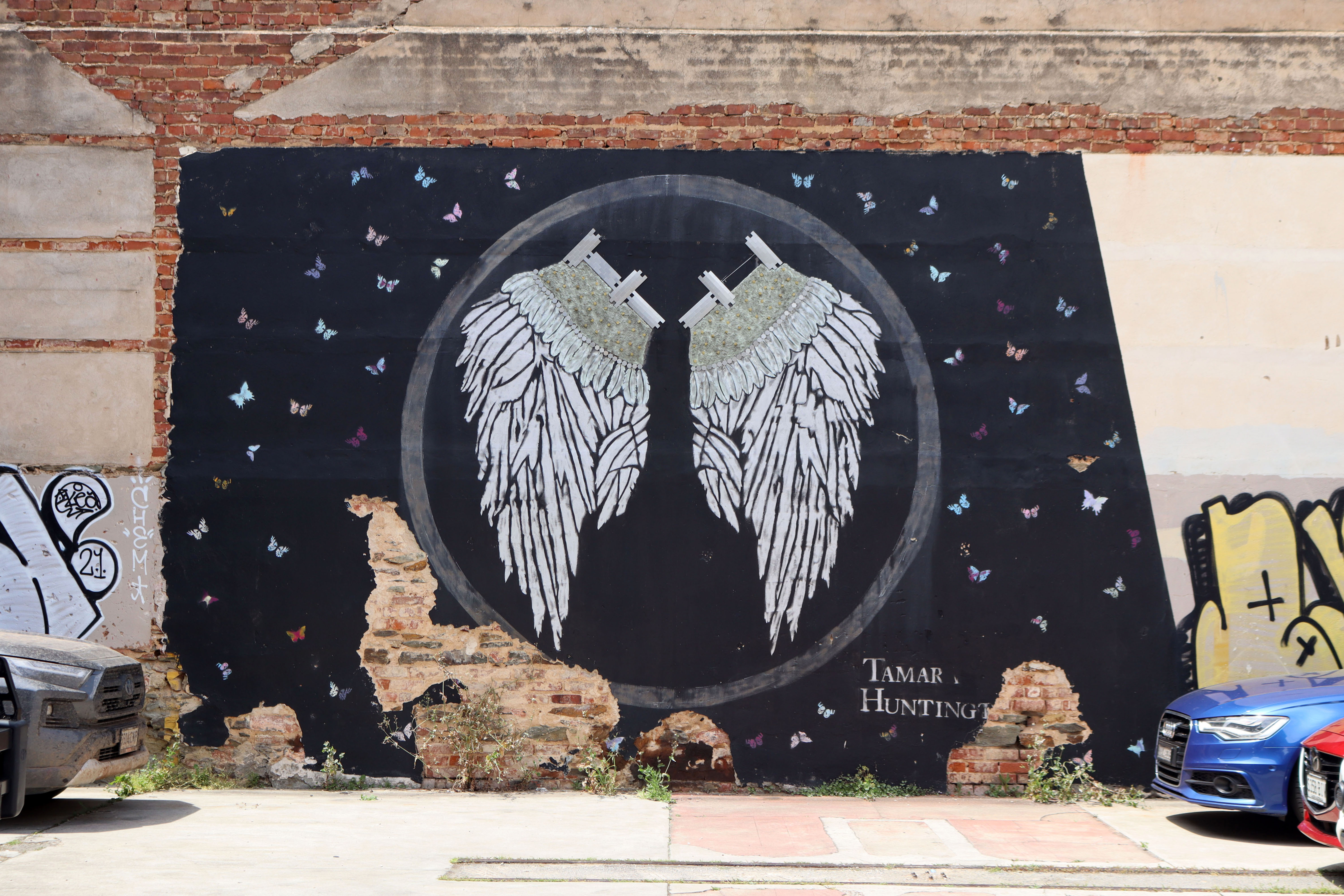 Metamorphosis by Tamara Huntington | Street Art NSW