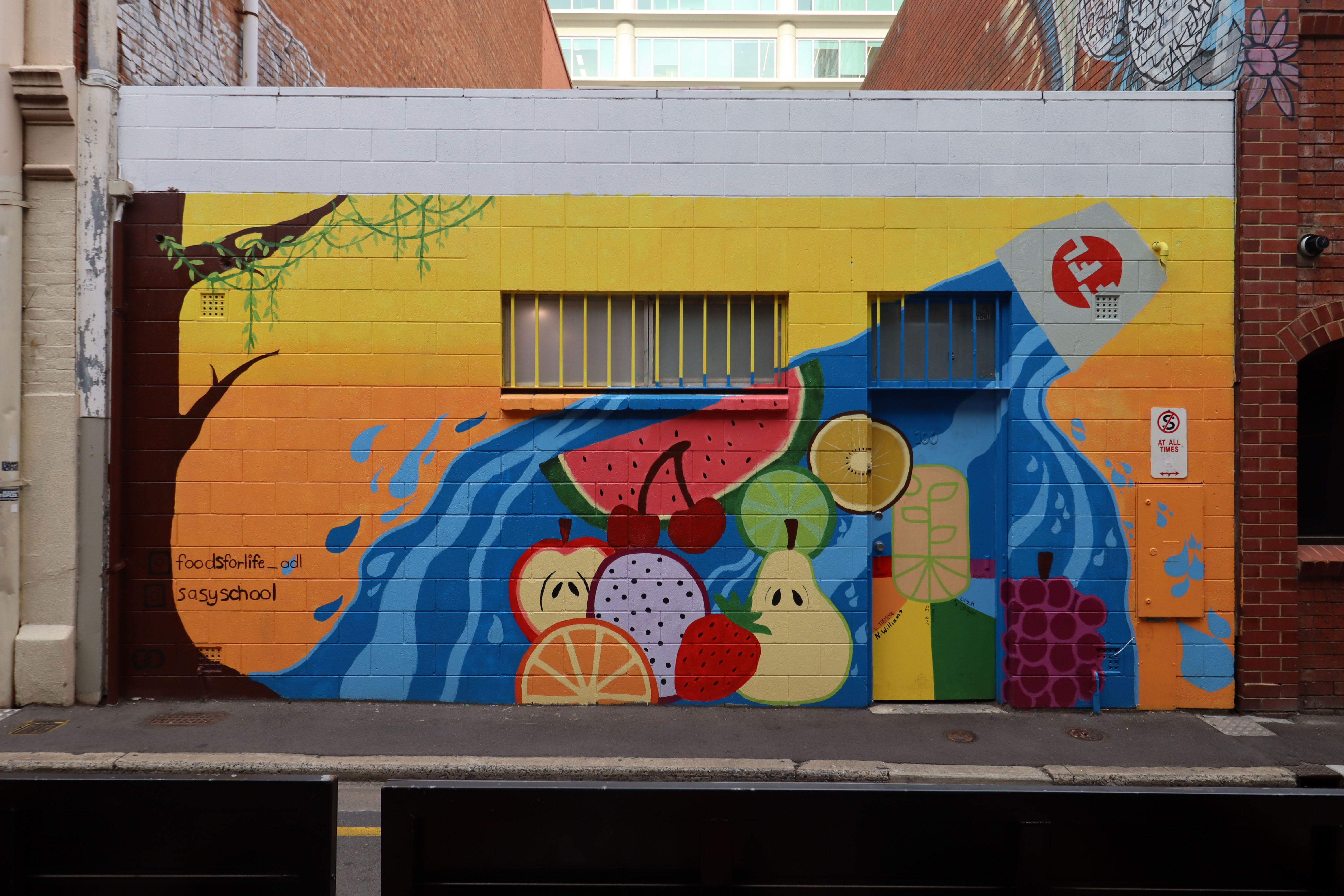 Foods For Life by SASY Adelaide | Street Art NSW