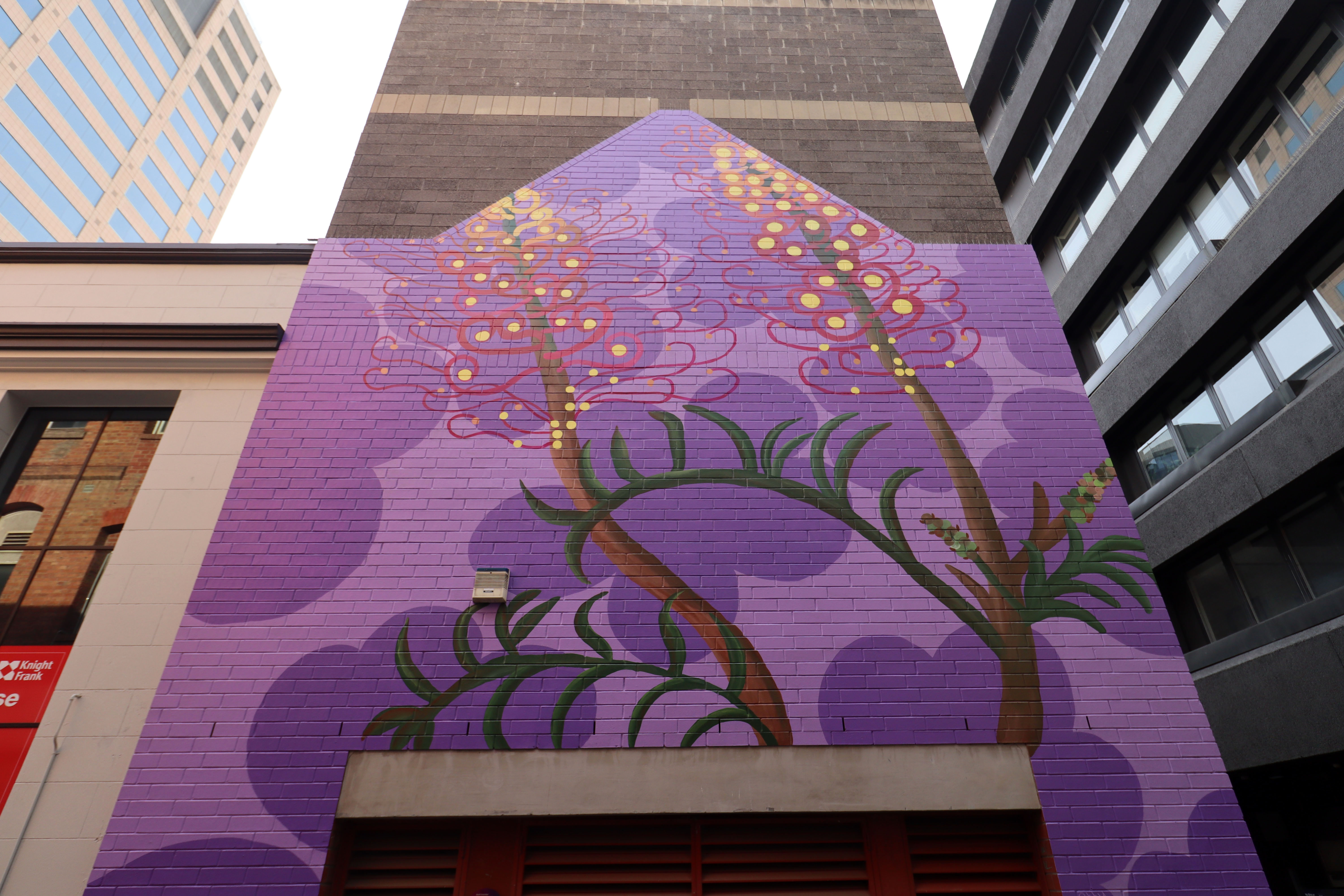 Bloom Where You Are by Potty Mouth | Street Art NSW