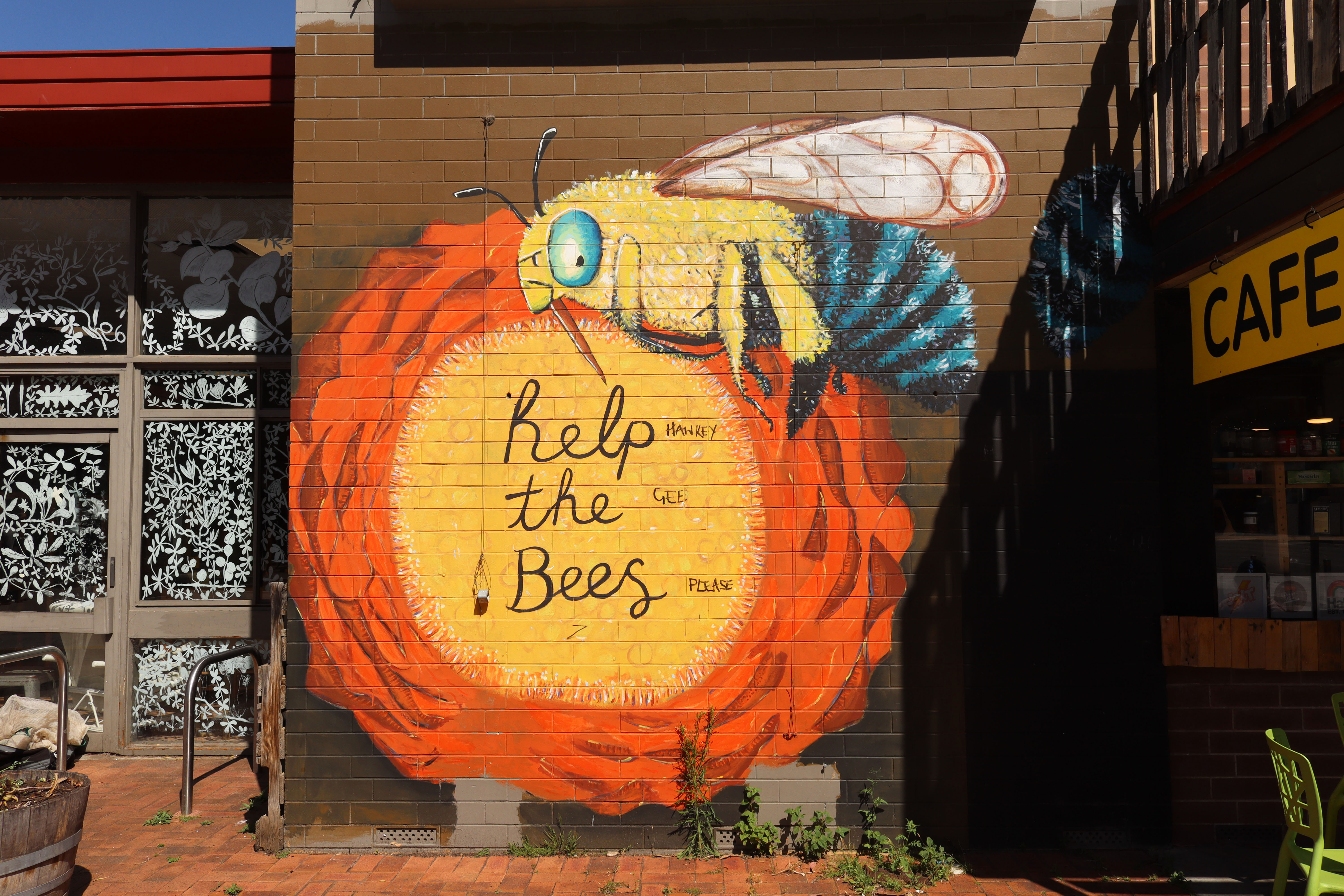 Help the Bees by Tracey Davis | Street Art NSW