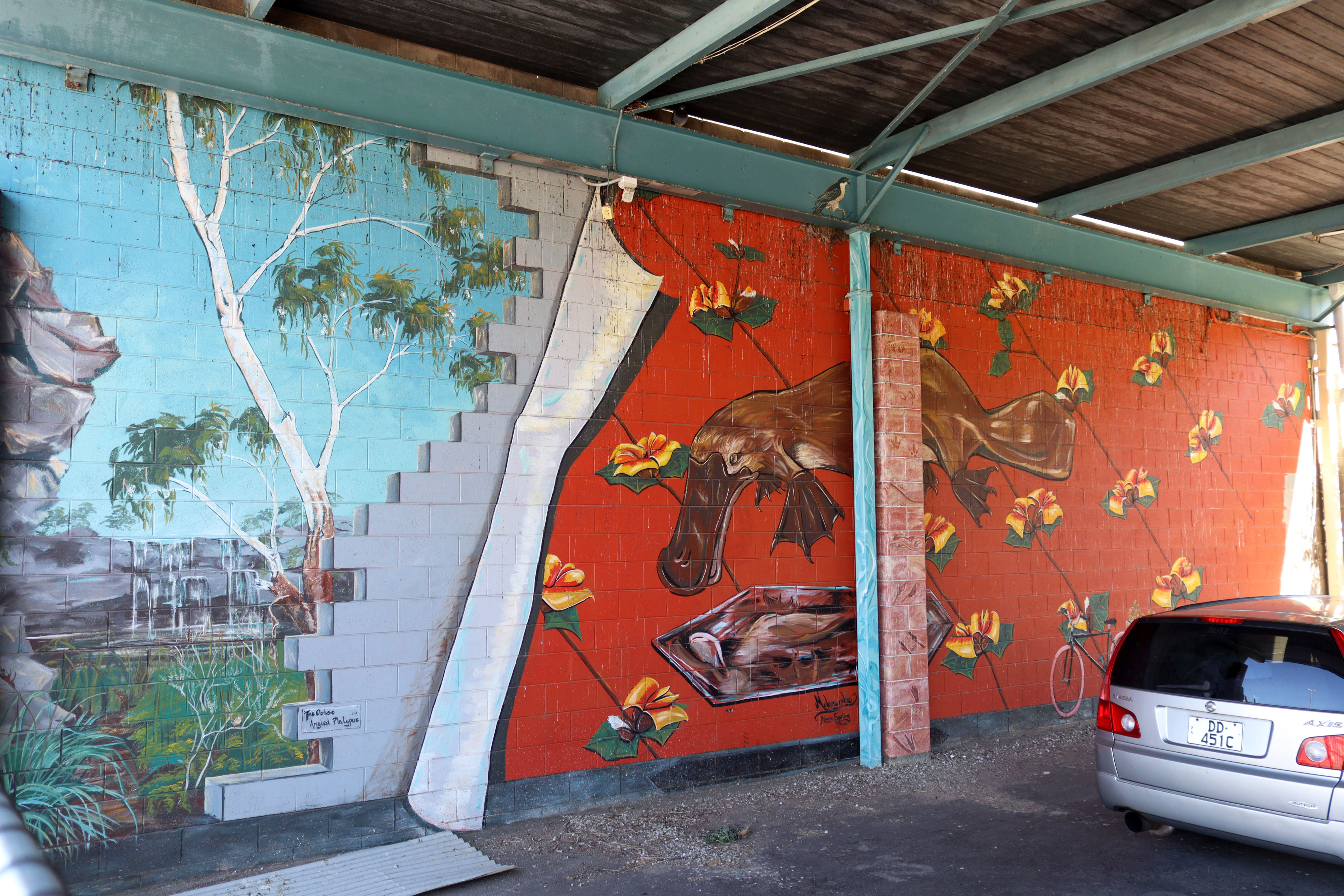 The Obtuse Angled Platypus by Melanie Spurling | Street Art NSW