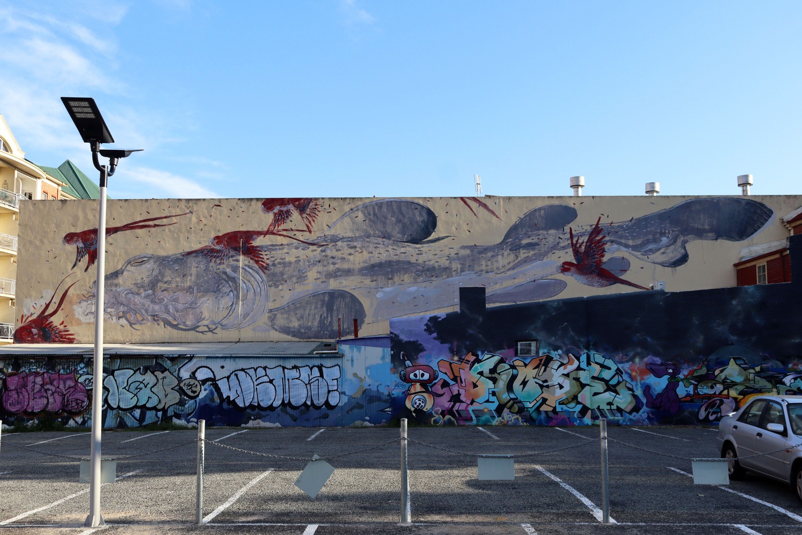 Rosellas Meet the Mighty Wabygong by Hitnes | Street Art NSW
