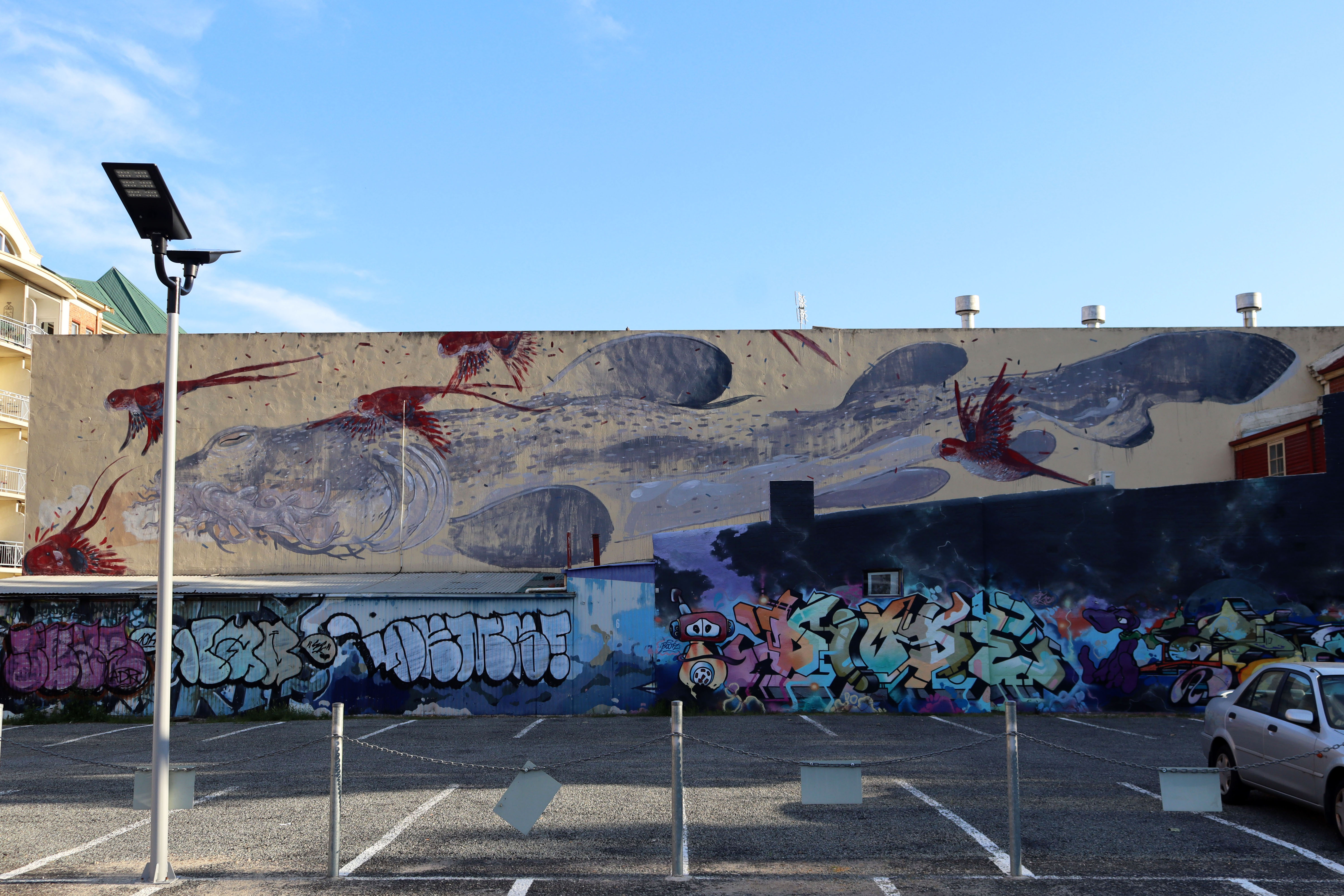 Rosellas Meet the Mighty Wabygong